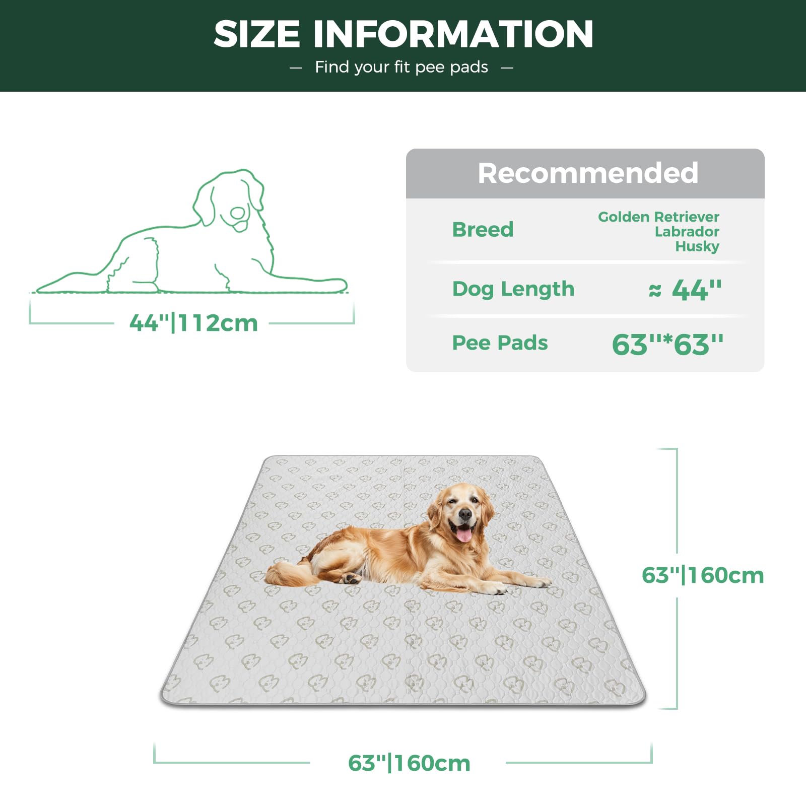 FXW tapis imperméable à couche TPU protège sols efficacement.