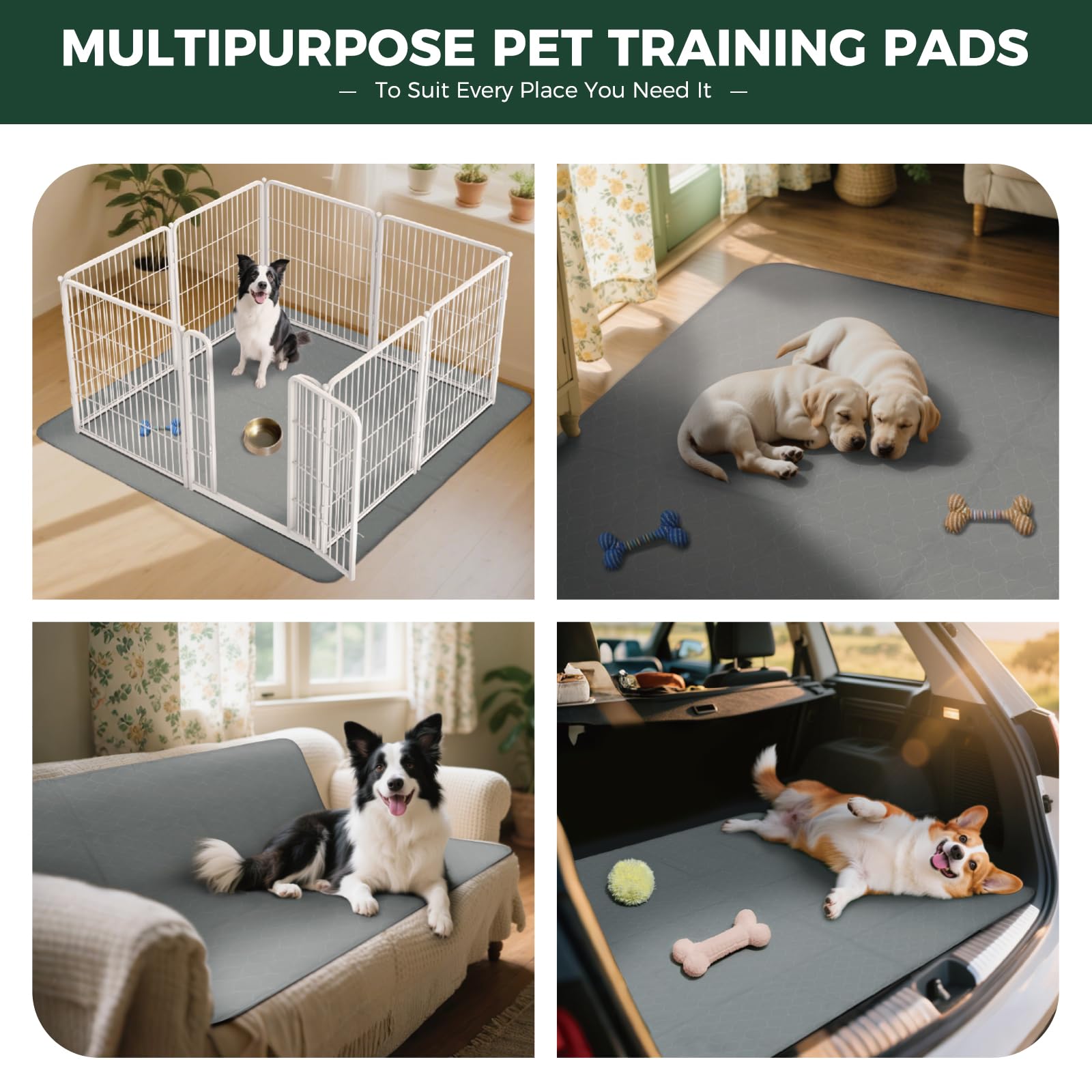 FXW tapis lavable en machine entretien rapide et espace propre