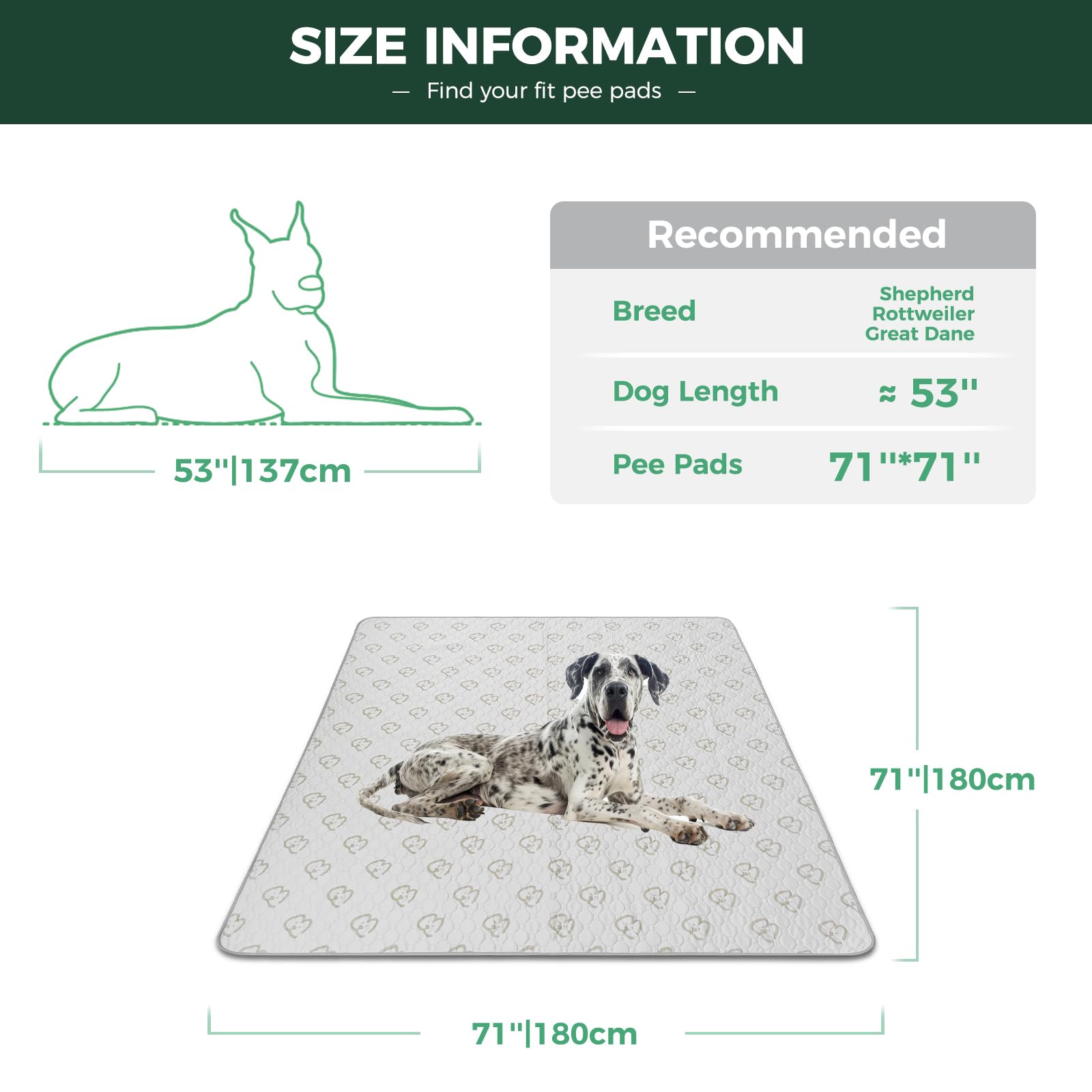 FXW tapis-pipi lavable imperméable protège sols et meubles lors des accidents.