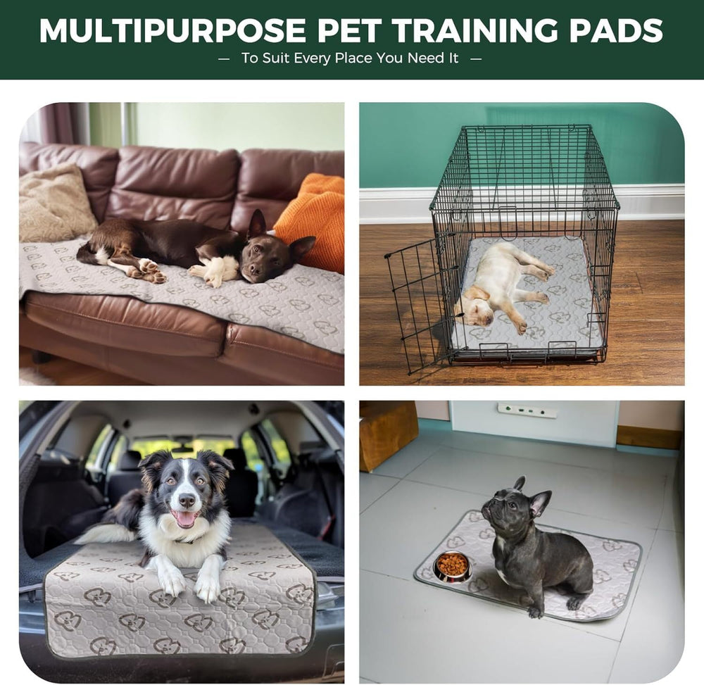 FXW tapis-pipi durable comme tapis de caisse pour chien actif.
