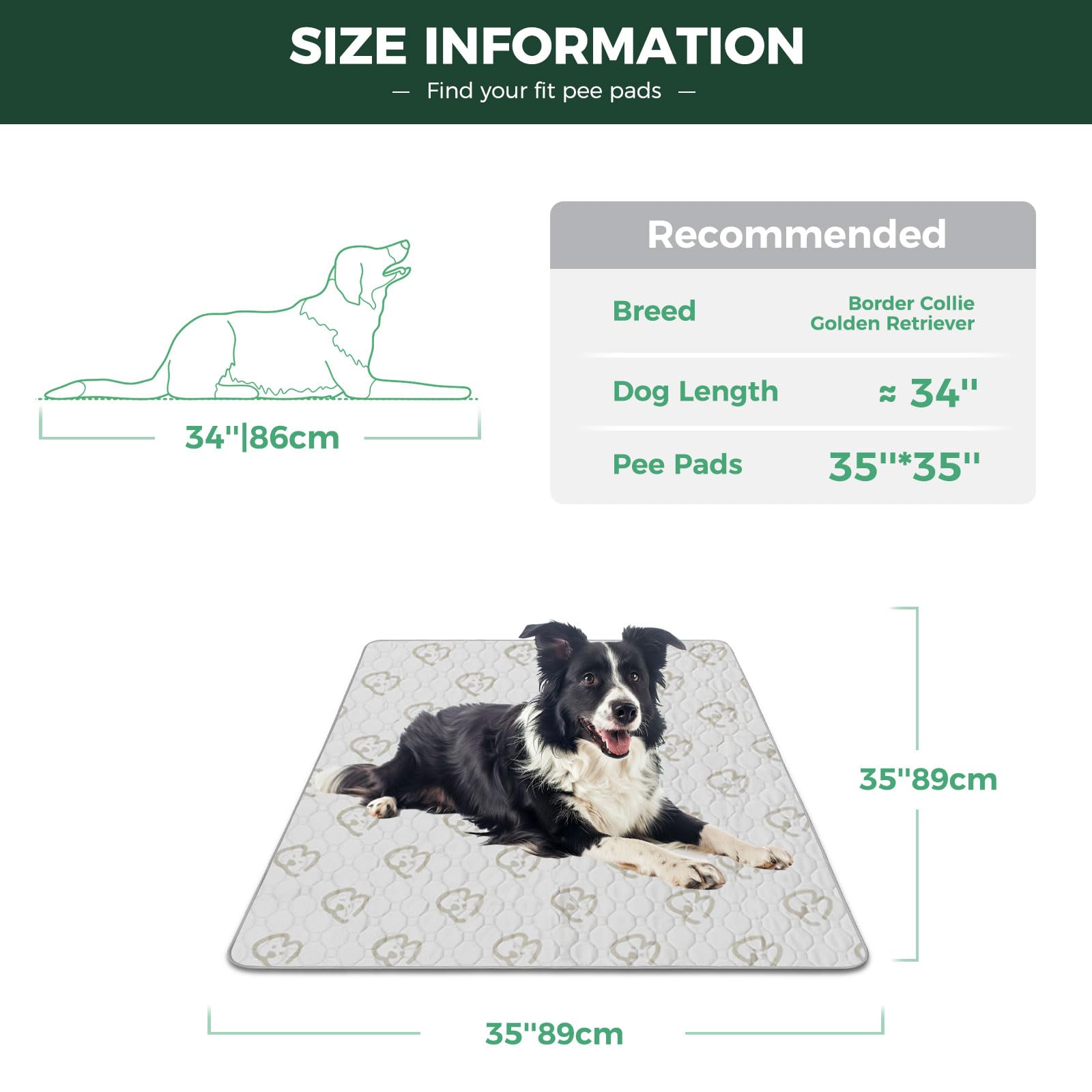 FXW tapis-pipi imperméable en TPU protège sols et meubles.