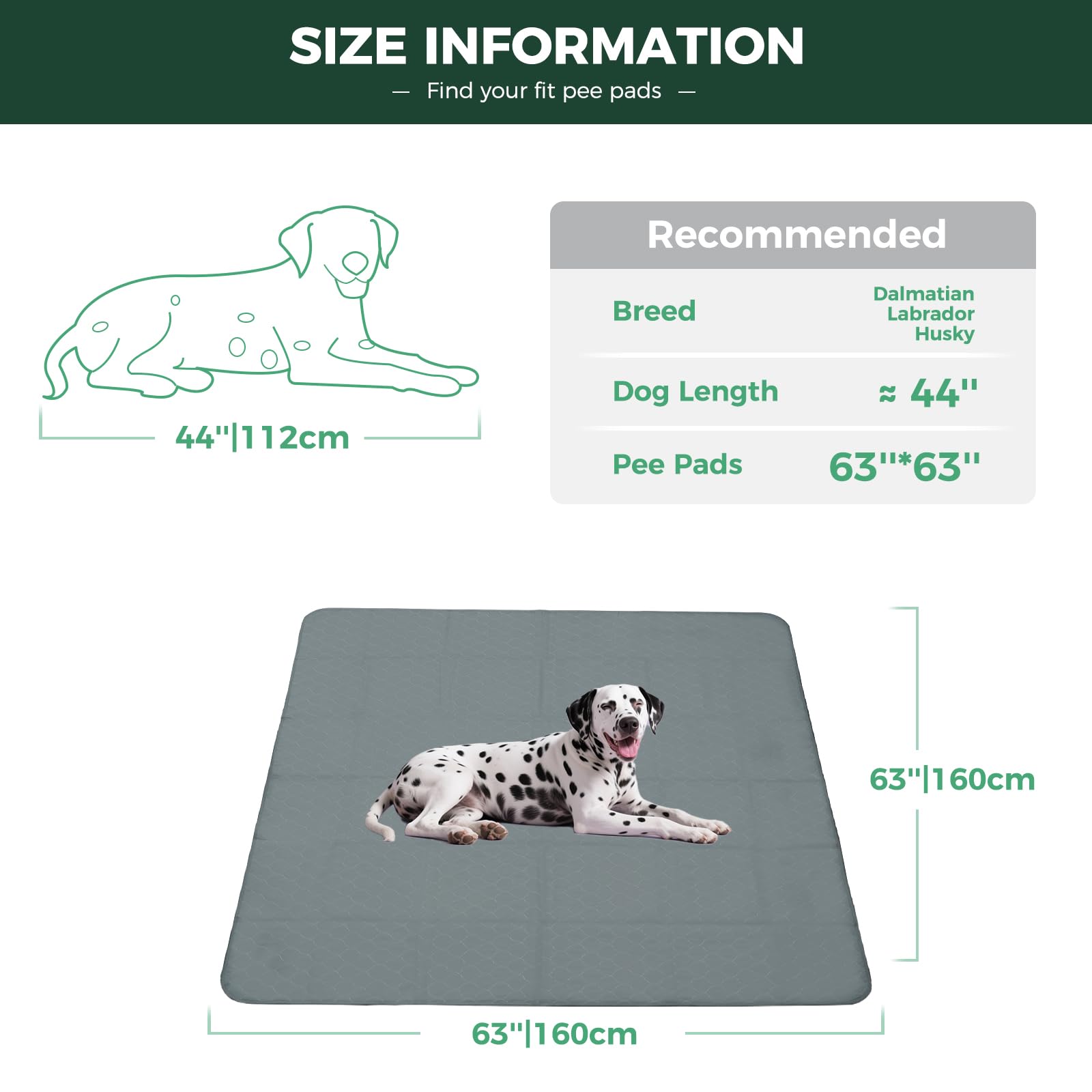 FXW tapis adapté aux parcs FXW de 24 pouces et formes variées
