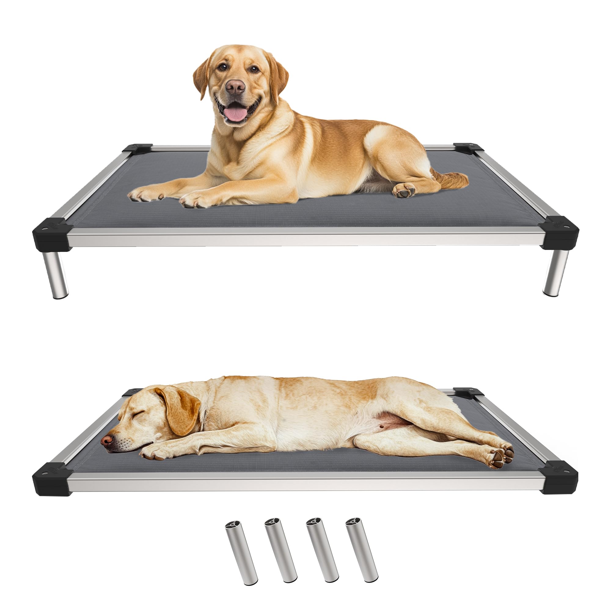 FXW TitanNest lit surélevé anti-morsure pour chiens robustes et confortables.