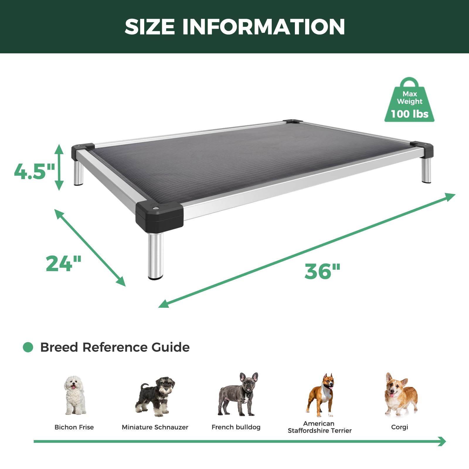 FXW TitanNest portable idéal pour maison, voyages et camping.