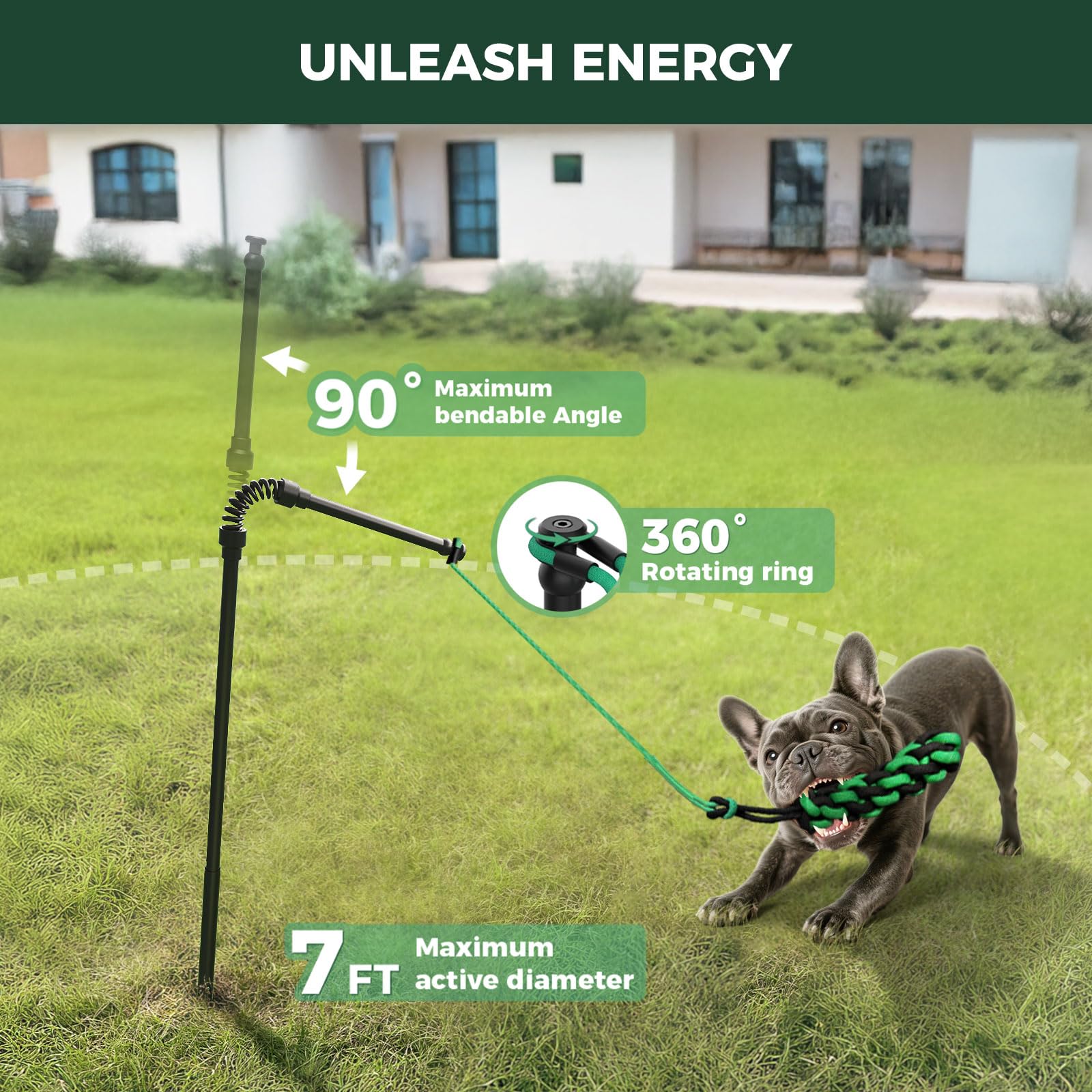 FXW TugPal Flex avec corde extérieure durable pour des sessions interactives répétées.