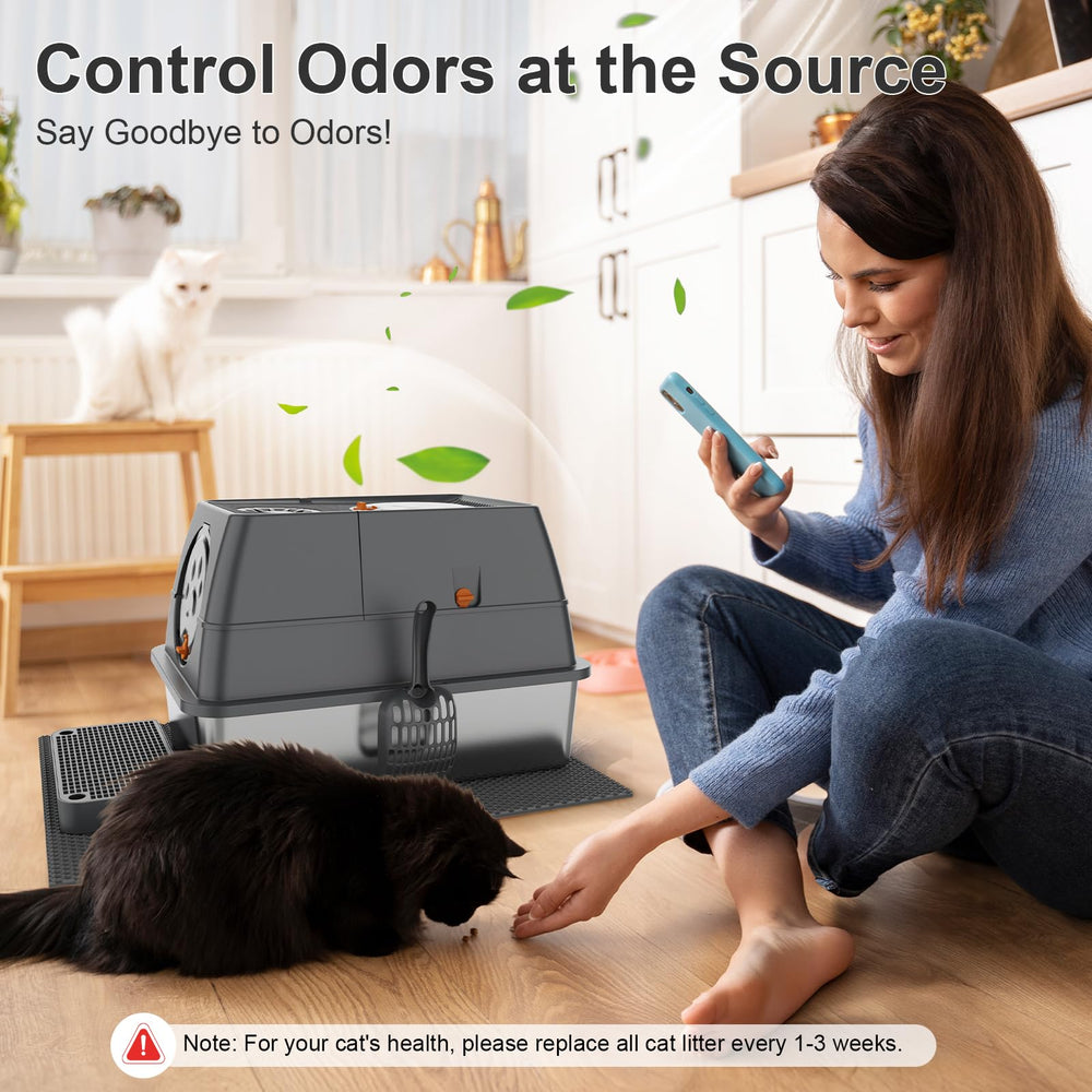 Chat de grande taille utilisant confortablement la litière FZGhome