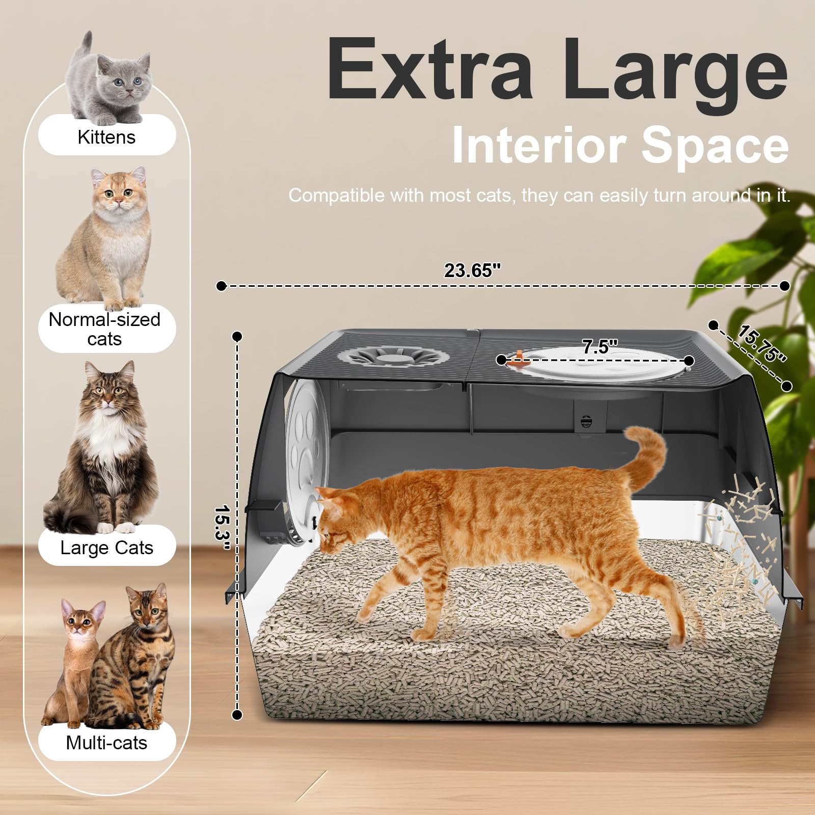 Intérieur spacieux de la litière inox XL FZGhome pour grands chats