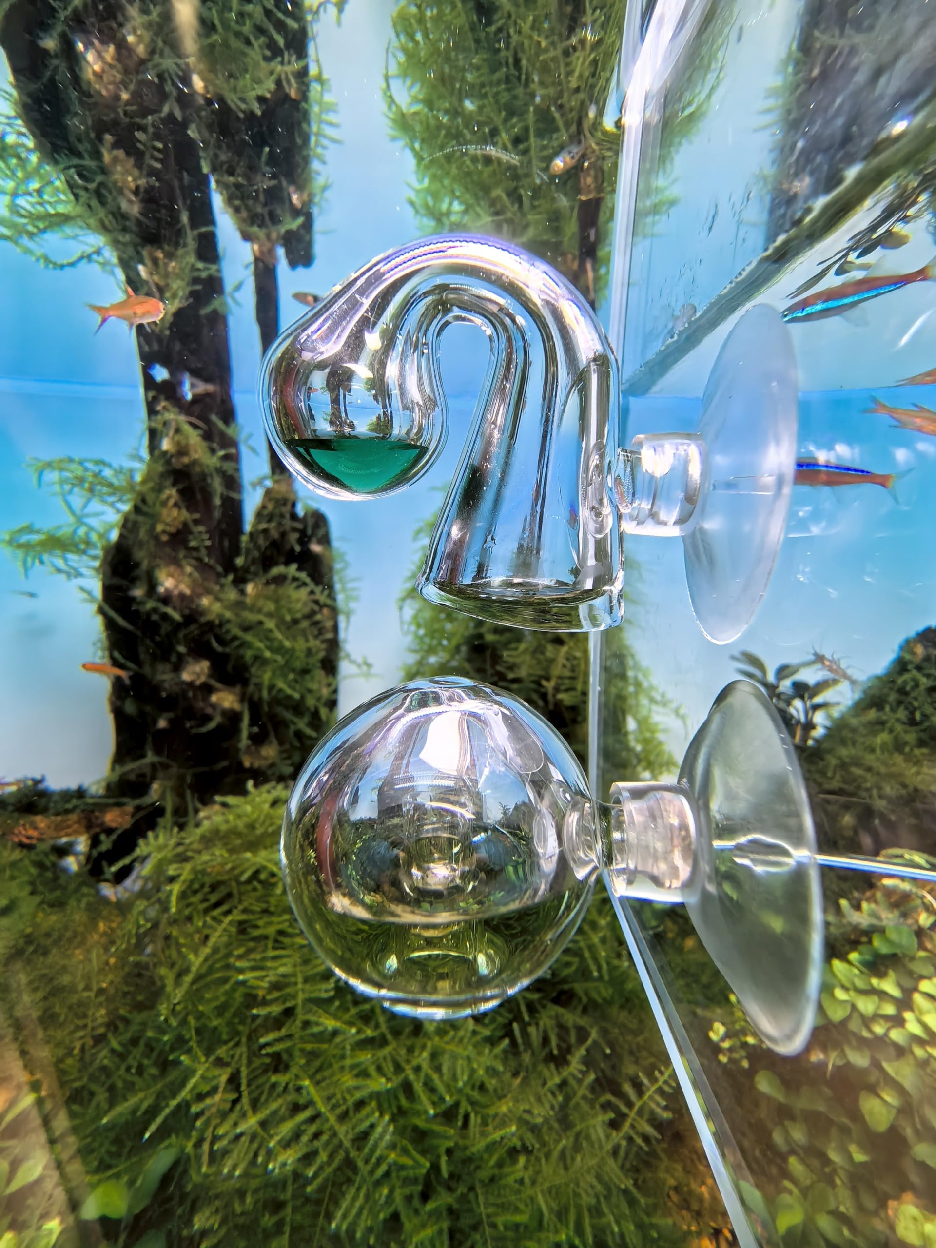 FZONE Kit CO2 surveillance continue pour plantes aquatiques