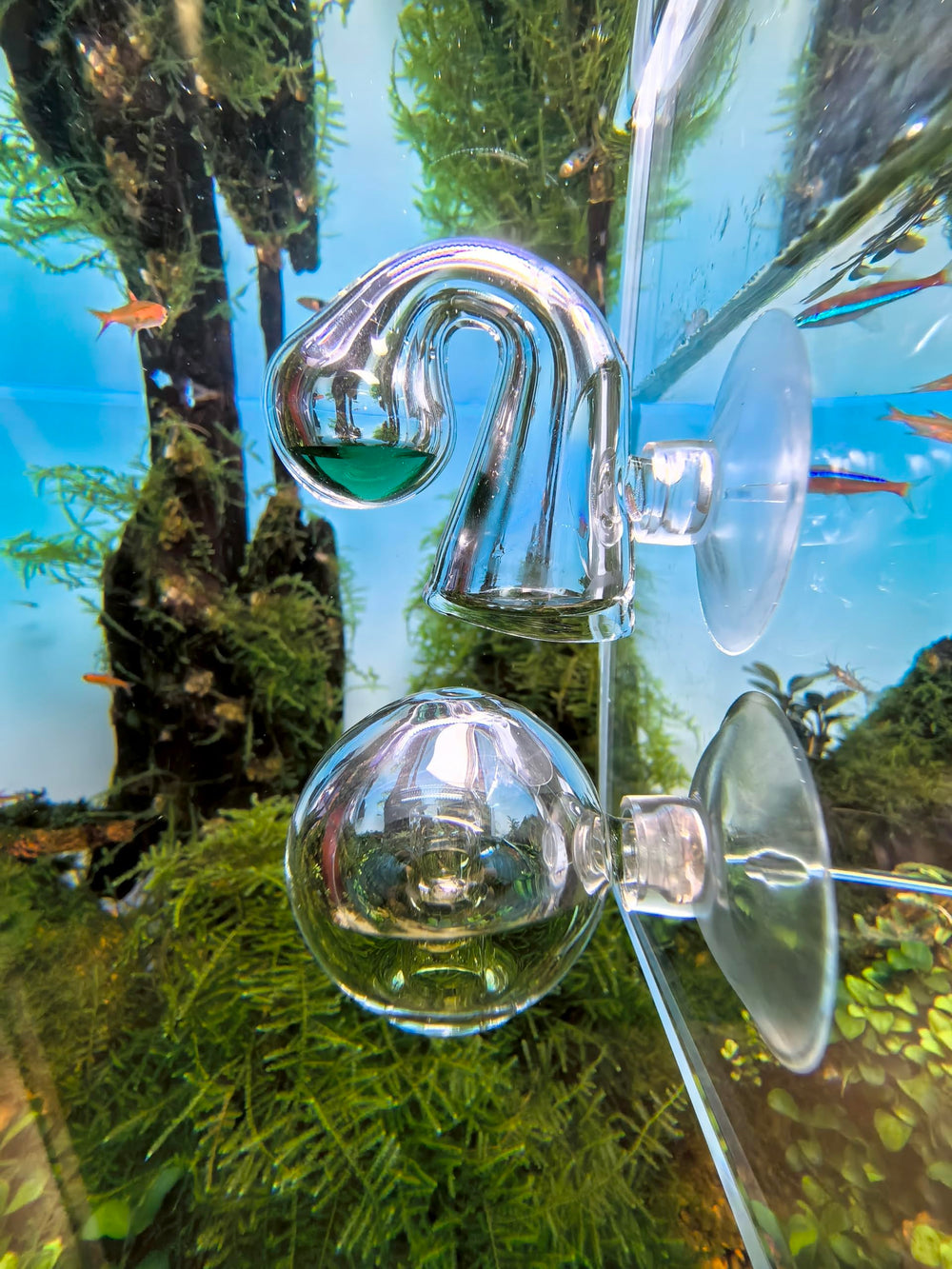 FZONE Kit CO2 surveillance continue pour plantes aquatiques