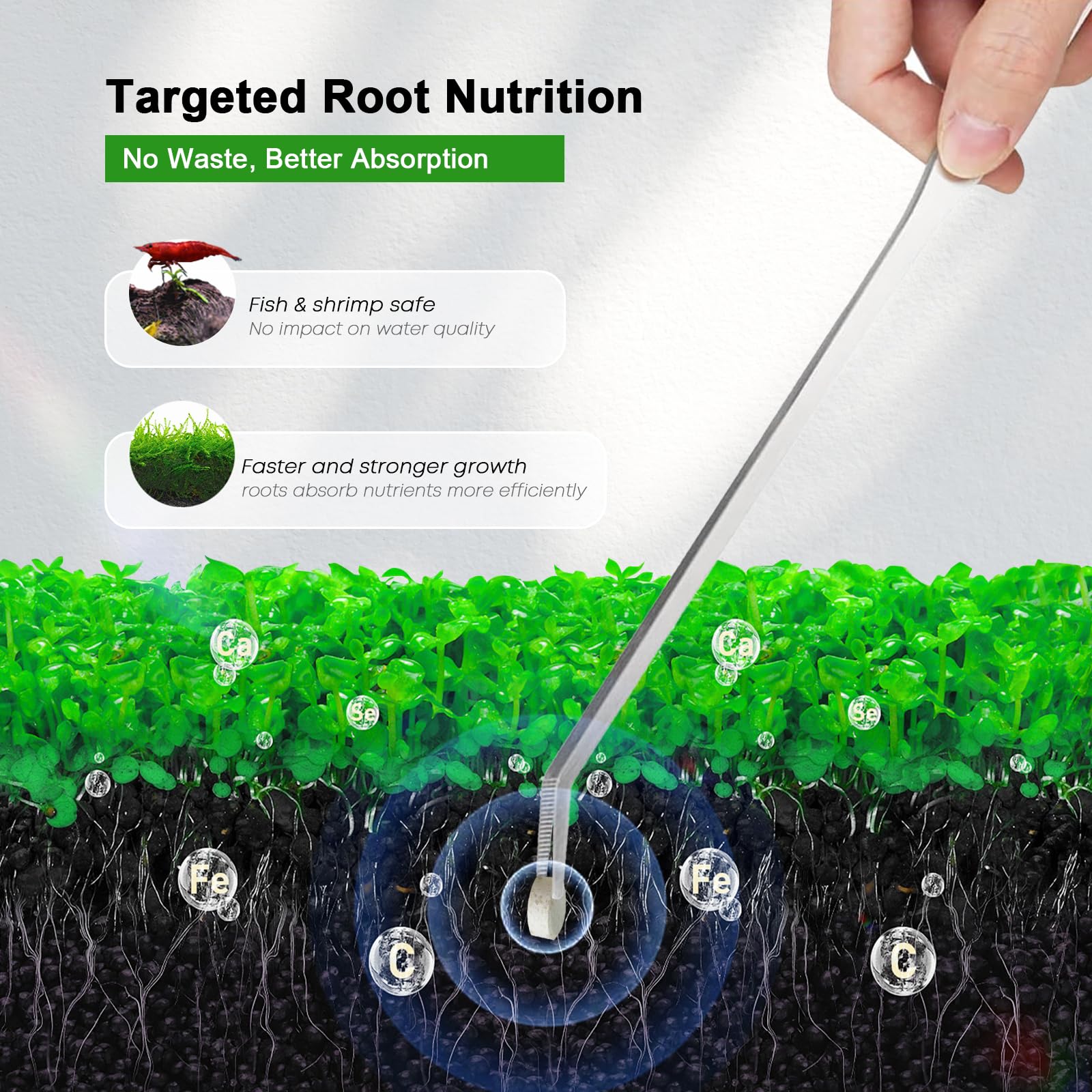 Libération lente FZONE, libérant des nutriments durablement pour les racines.