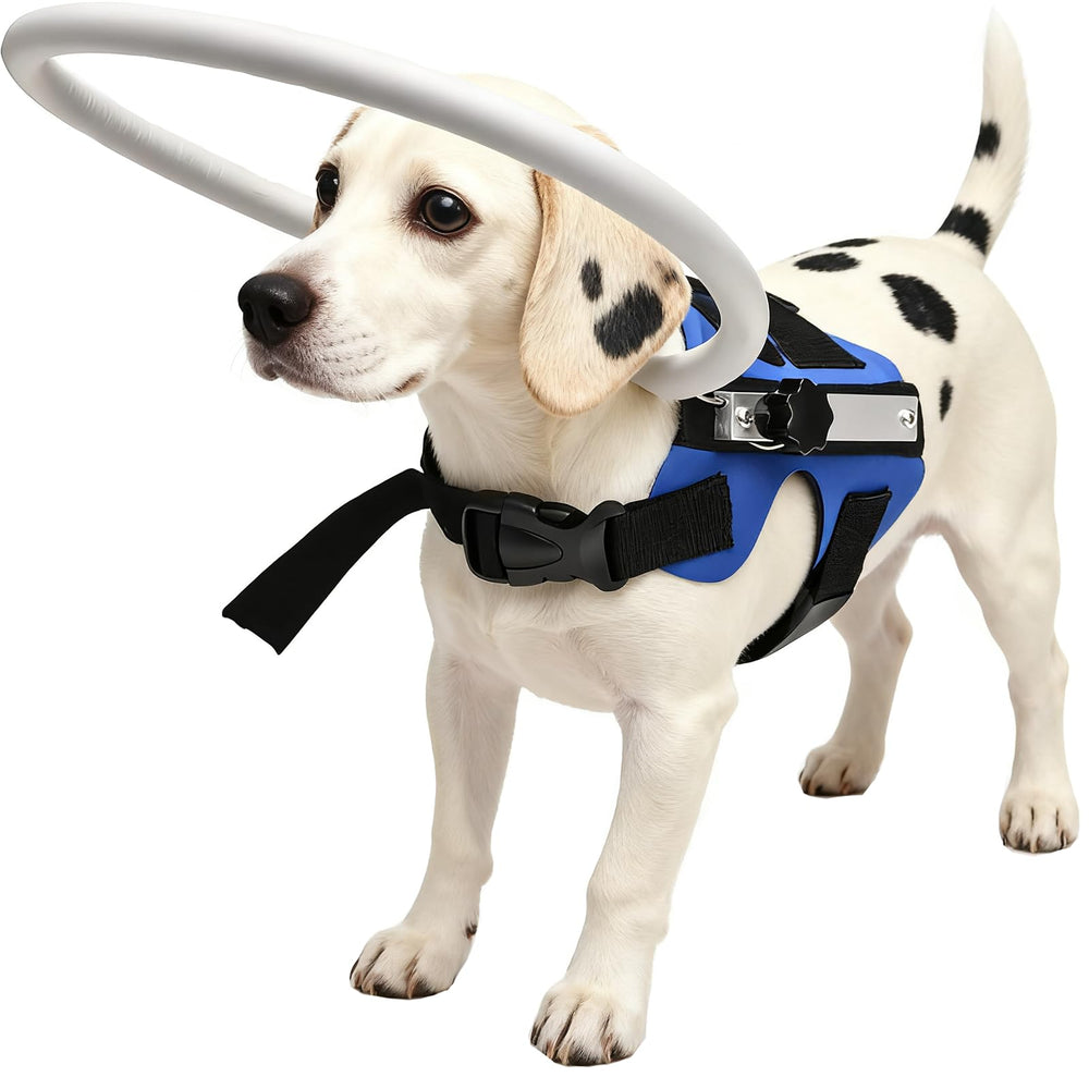 GabeFish anneau-guidage-leger-bleu-petit sur chien et chat, autonomie accrue.