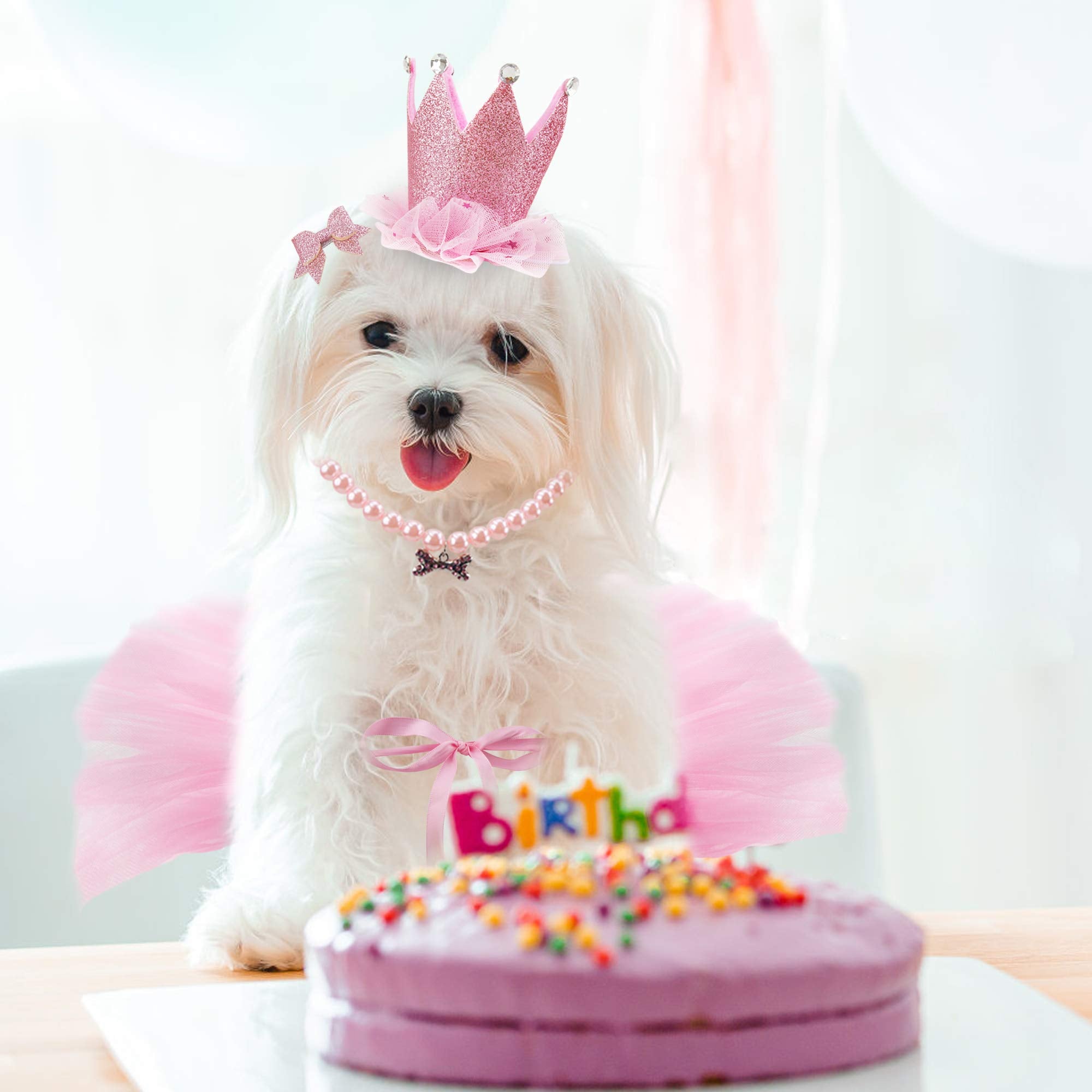 GAGILAND ensemble anniversaire chien: idéal pour fêtes, photos et moments joyeux.