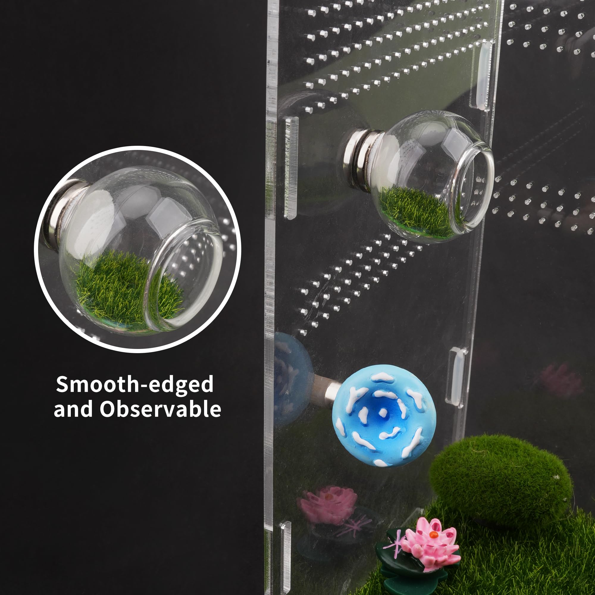 GAGILAND vue 360 degrés sur l habitat en verre transparent