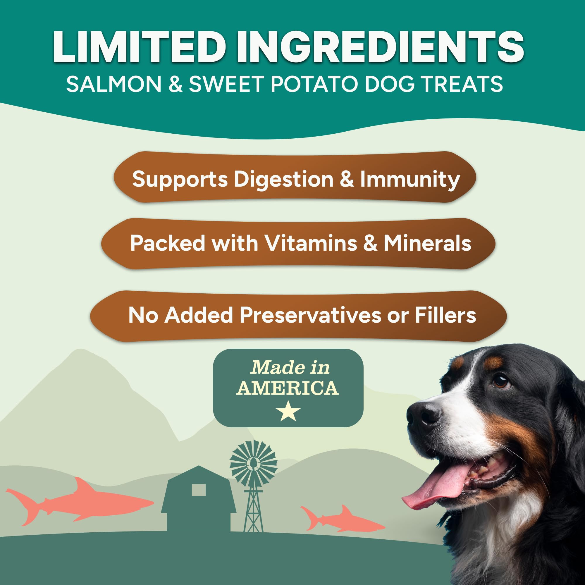 GAINES FAMILY FARMSTEAD ingrédients limités sans sel, parfait pour chiens sensibles.