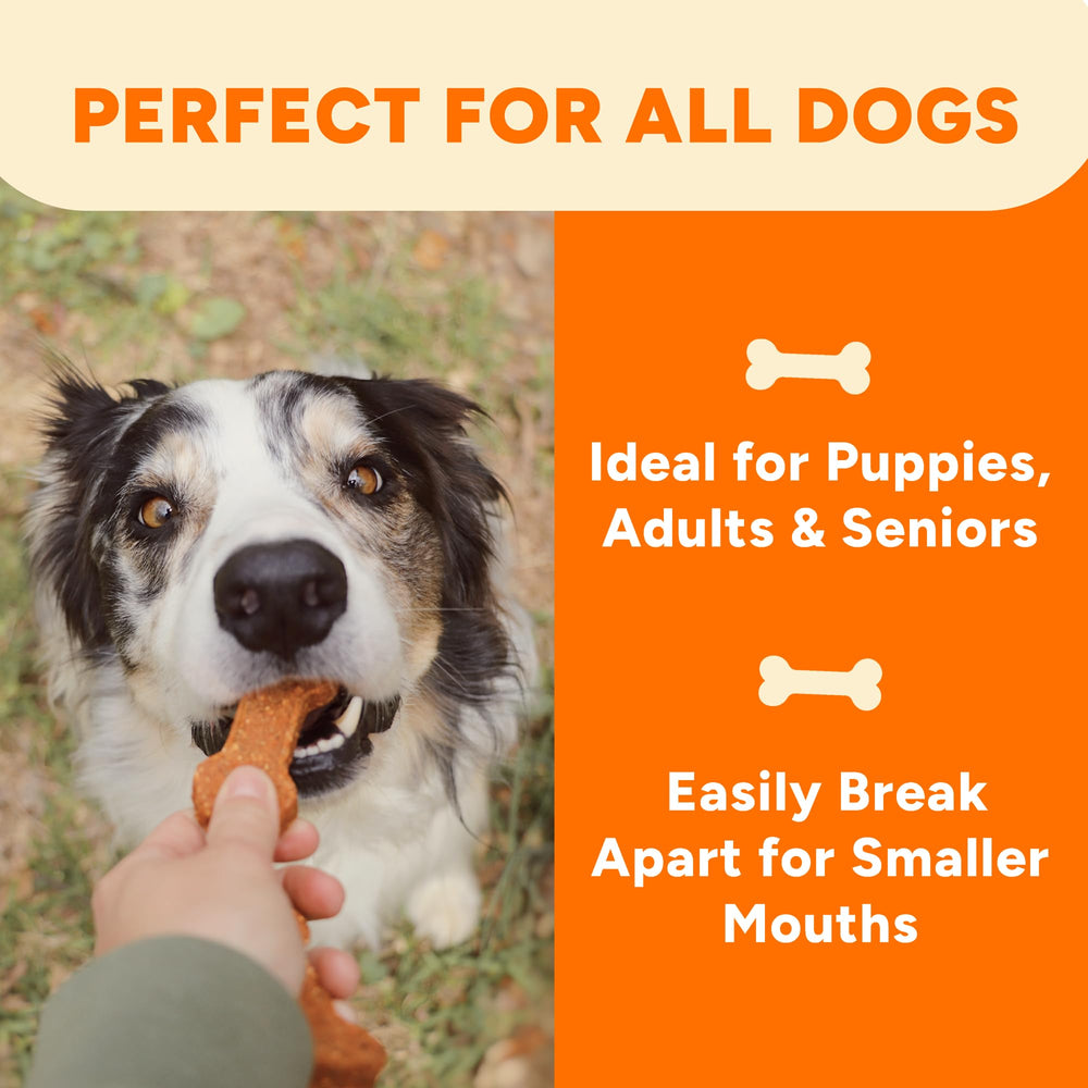Gaines Family Farmstead os patate douce chien — parfait pour récompenser les bons comportements