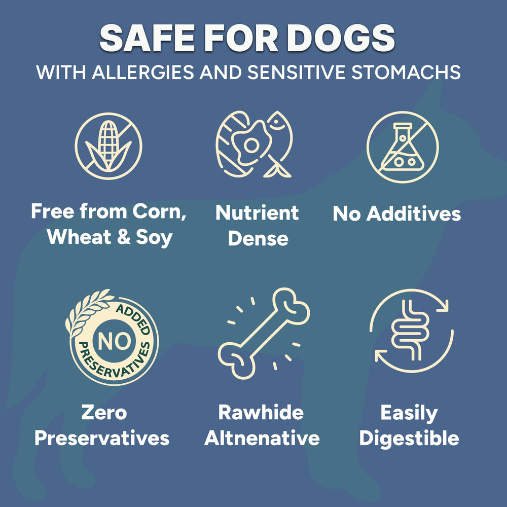 Tendon-dinde chips-education : idéal comme récompense lors de l éducation canine.