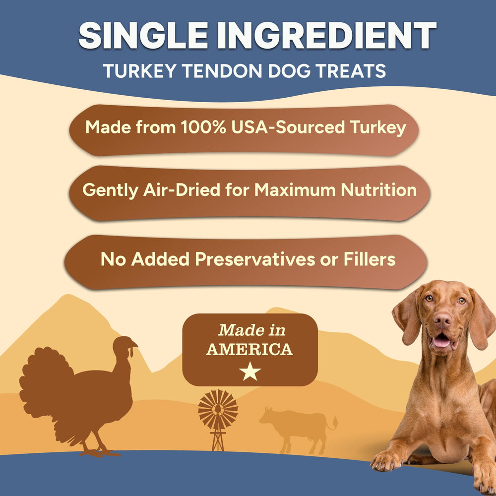 Tendon-dinde chips-tranche-fin : récompense saine et légère pour l entraînement quotidien.