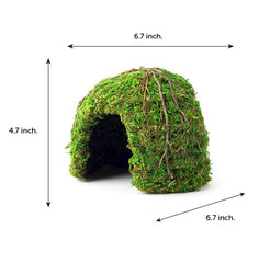 Galápagos Mossy Dome Hide – décor mousse pour un habitat forestier plus naturel.
