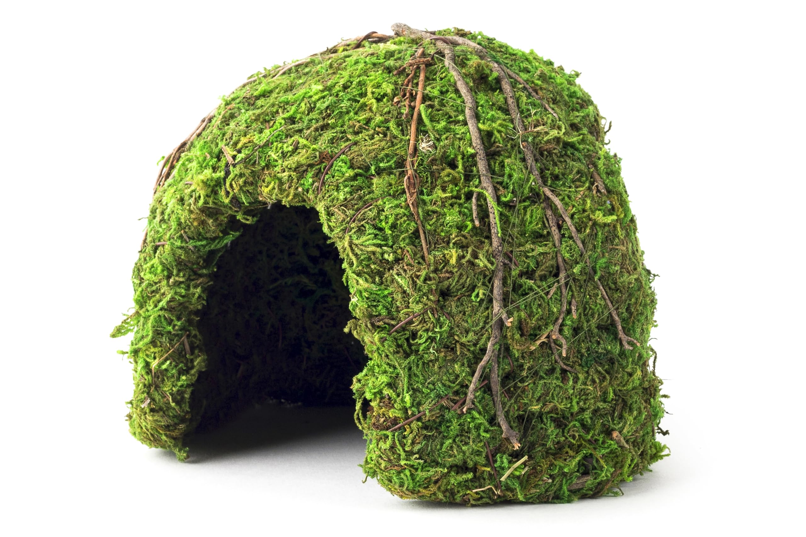 Galápagos Mossy Dome Hide – vue haute, réfuge humide pour reptiles.