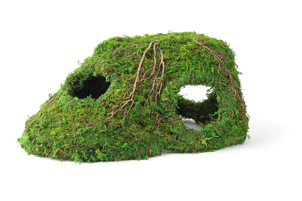Galapagos Sapa Corner Hide offre confort et sécurité dans le terrarium.