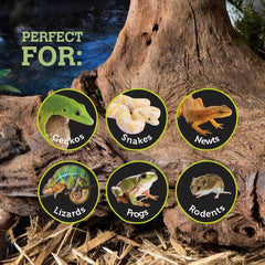 Galapagos Sapa Corner Hide aide a maintenir une humidite ideale.