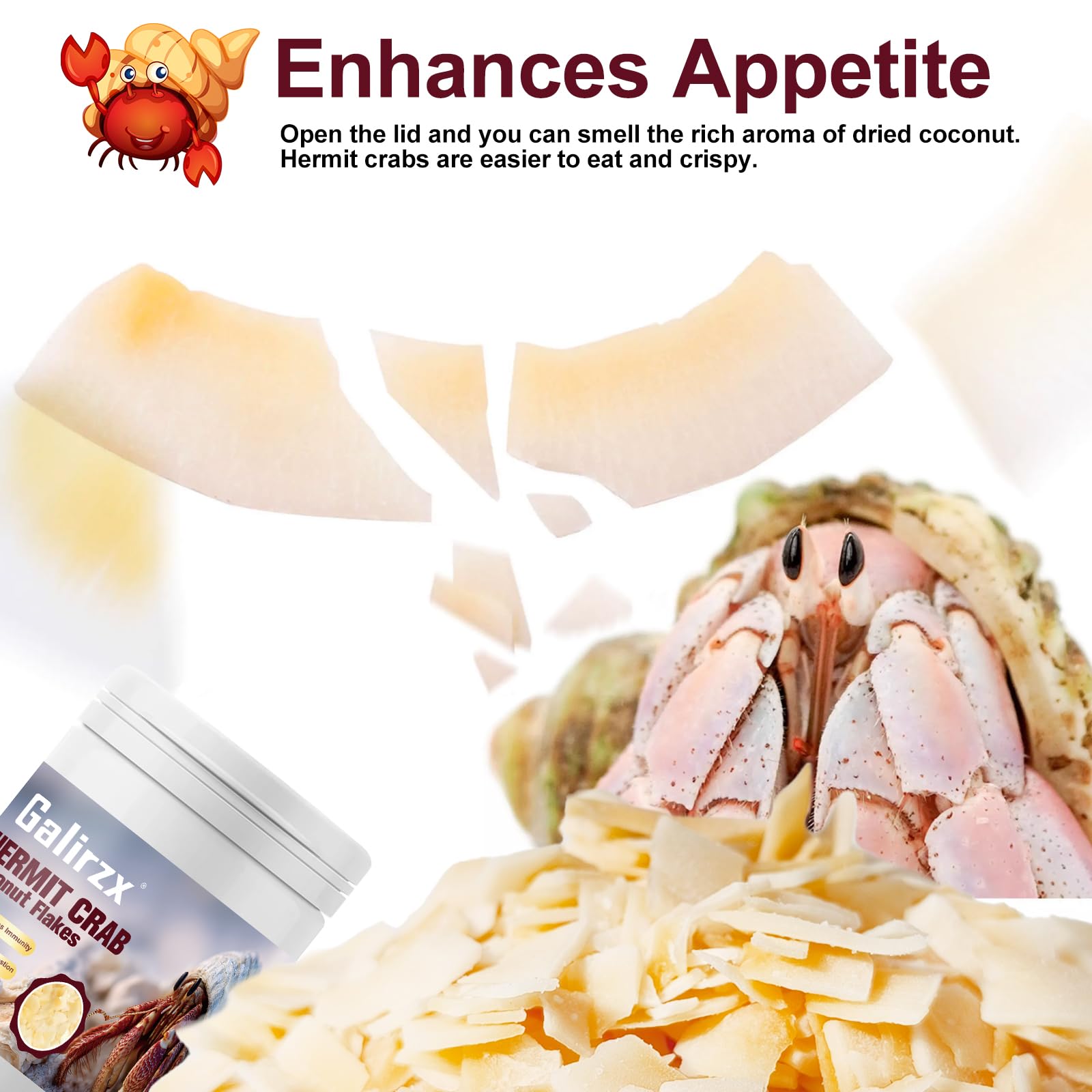Galirzx bol dosage snack crabe ermite – aide à mesurer les portions pour repas adaptés