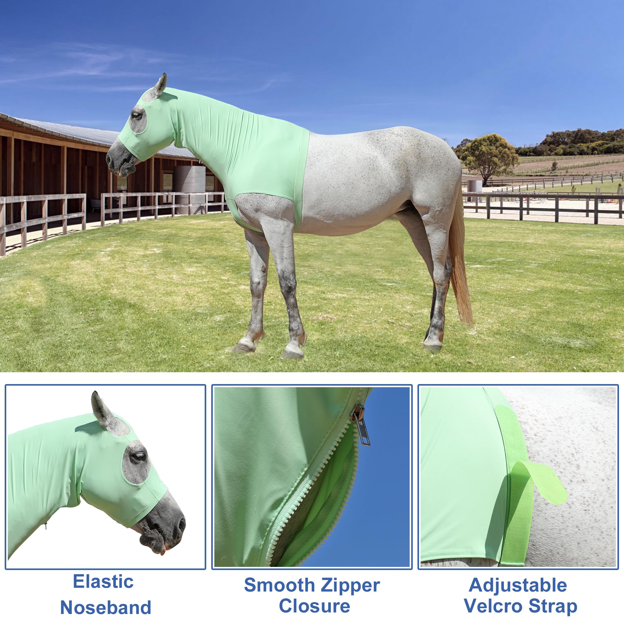 Gallopoff capuche slinky cheval ajustement extensible : ajustement sûr grâce au tissu extensible