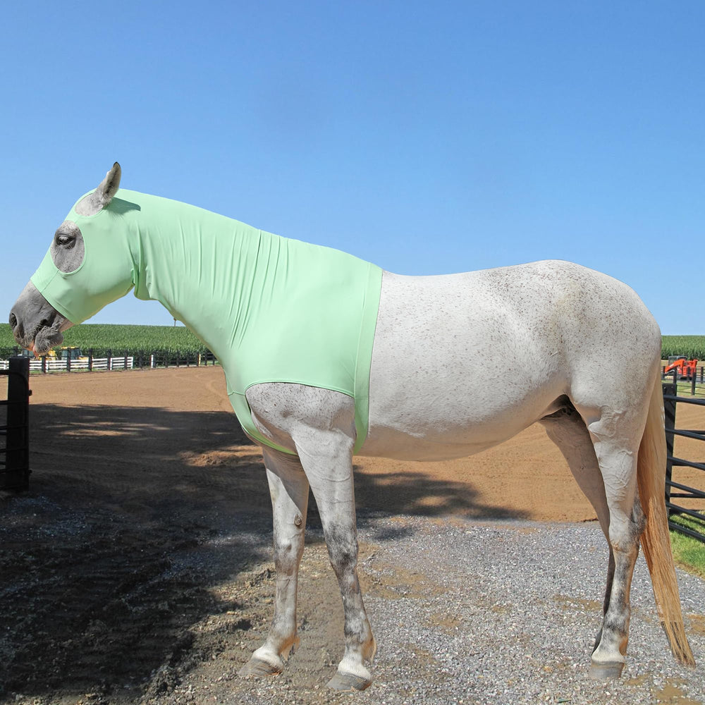 Gallopoff capuche slinky cheval sous couverture : reste en place sous les couvertures