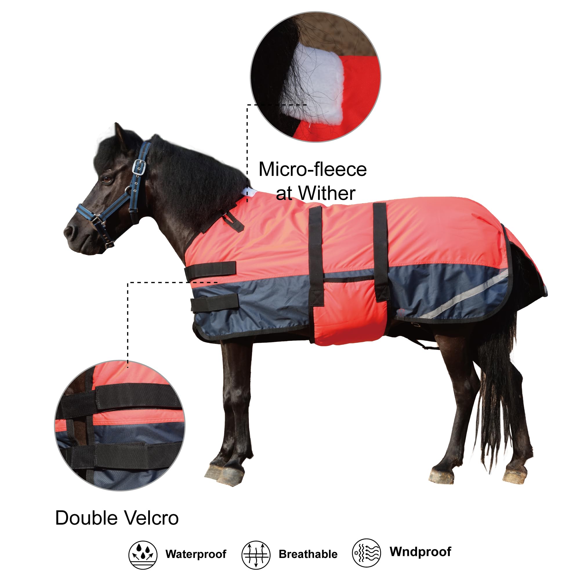 Détail de la coque extérieure Gallopoff, protection contre le vent et intempéries.