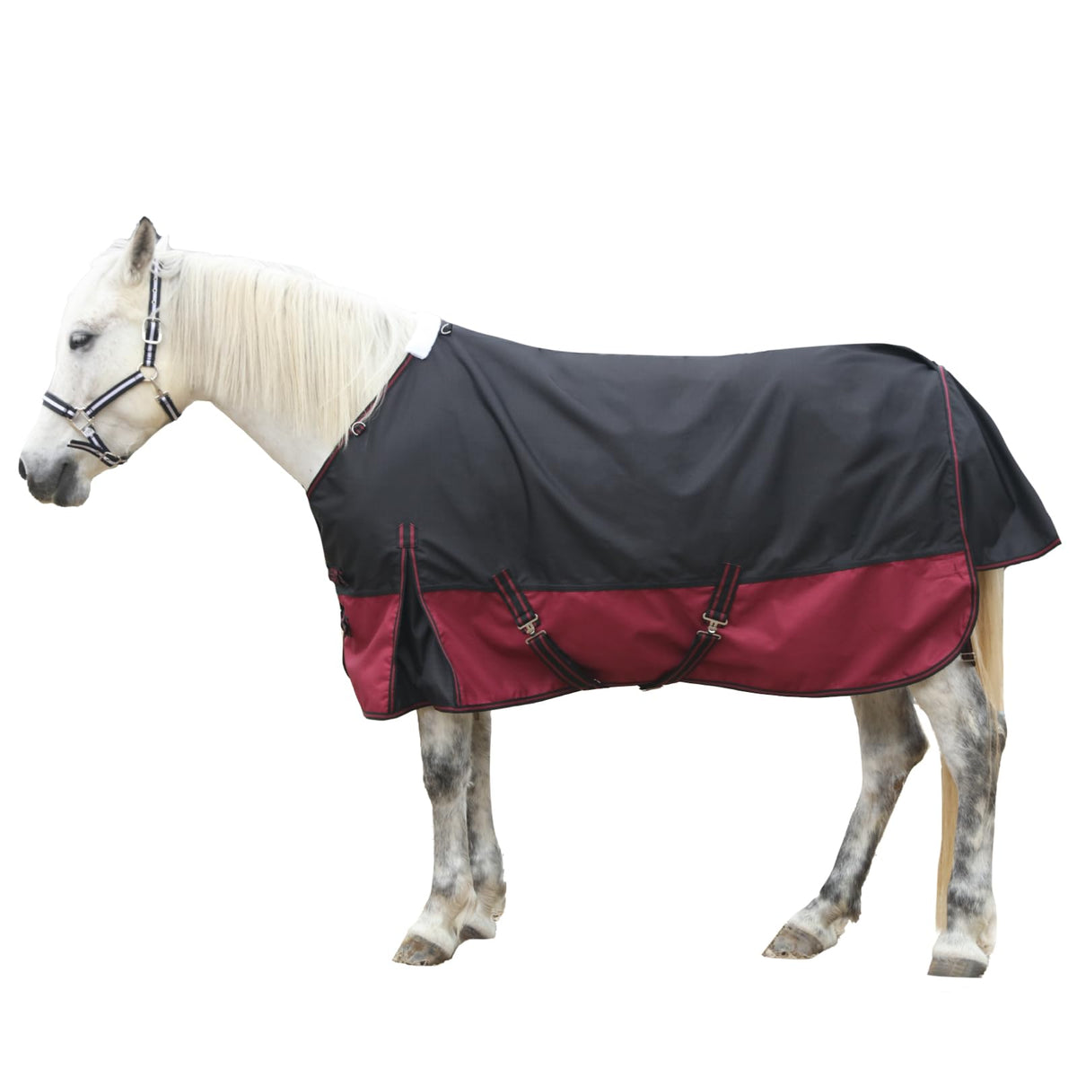 Gallopoff Couverture cheval 1200D imperméable, protection contre pluie et vent lors des sorties.
