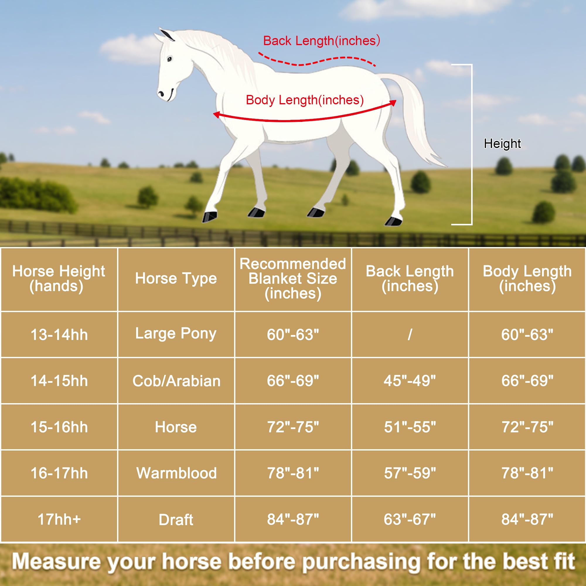 Gallopoff couverture adaptée pour chevaux de 13 à 17 mains – coupe polyvalente.