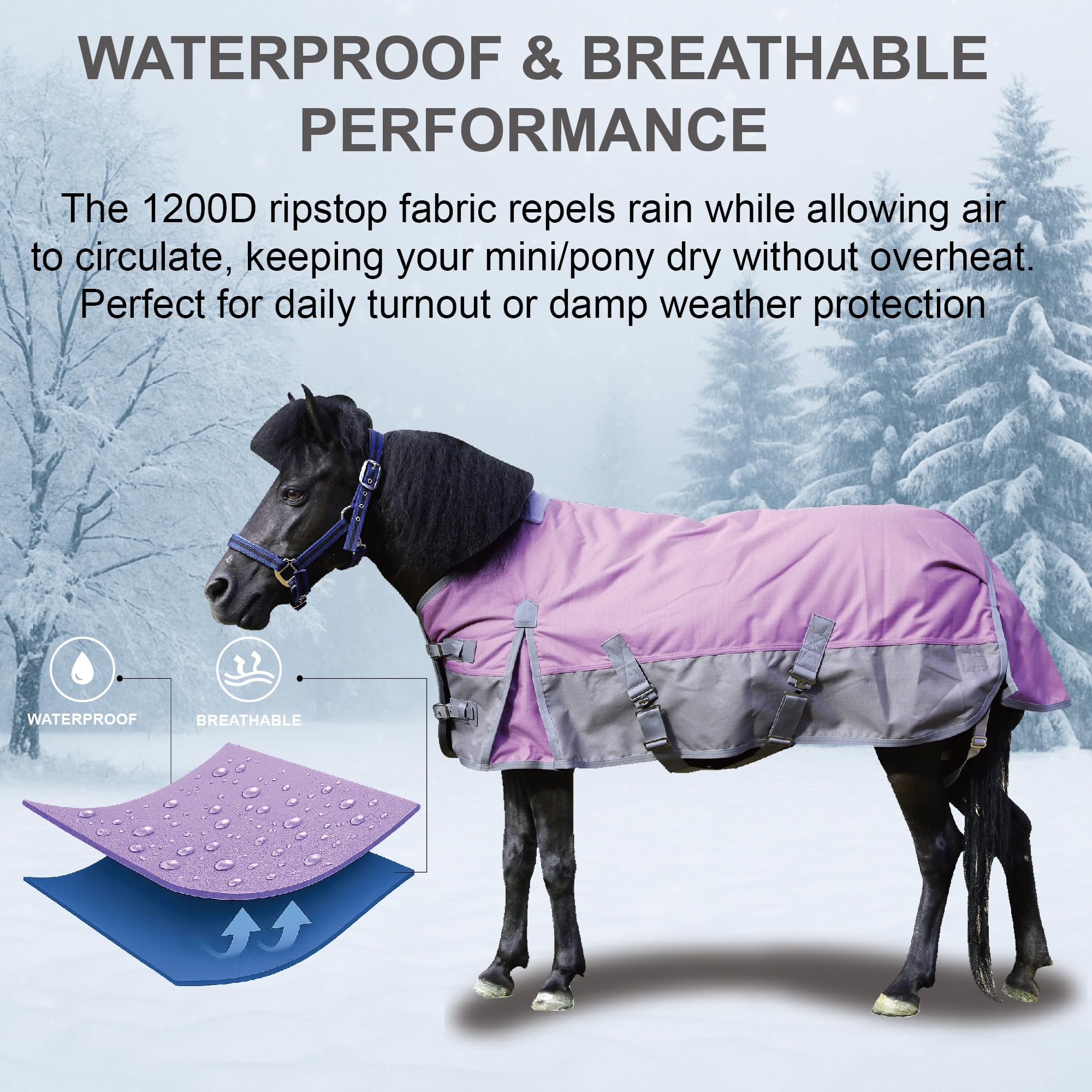 Gallopoff couverture mini cheval imperméable et respirante pour l'extérieur.