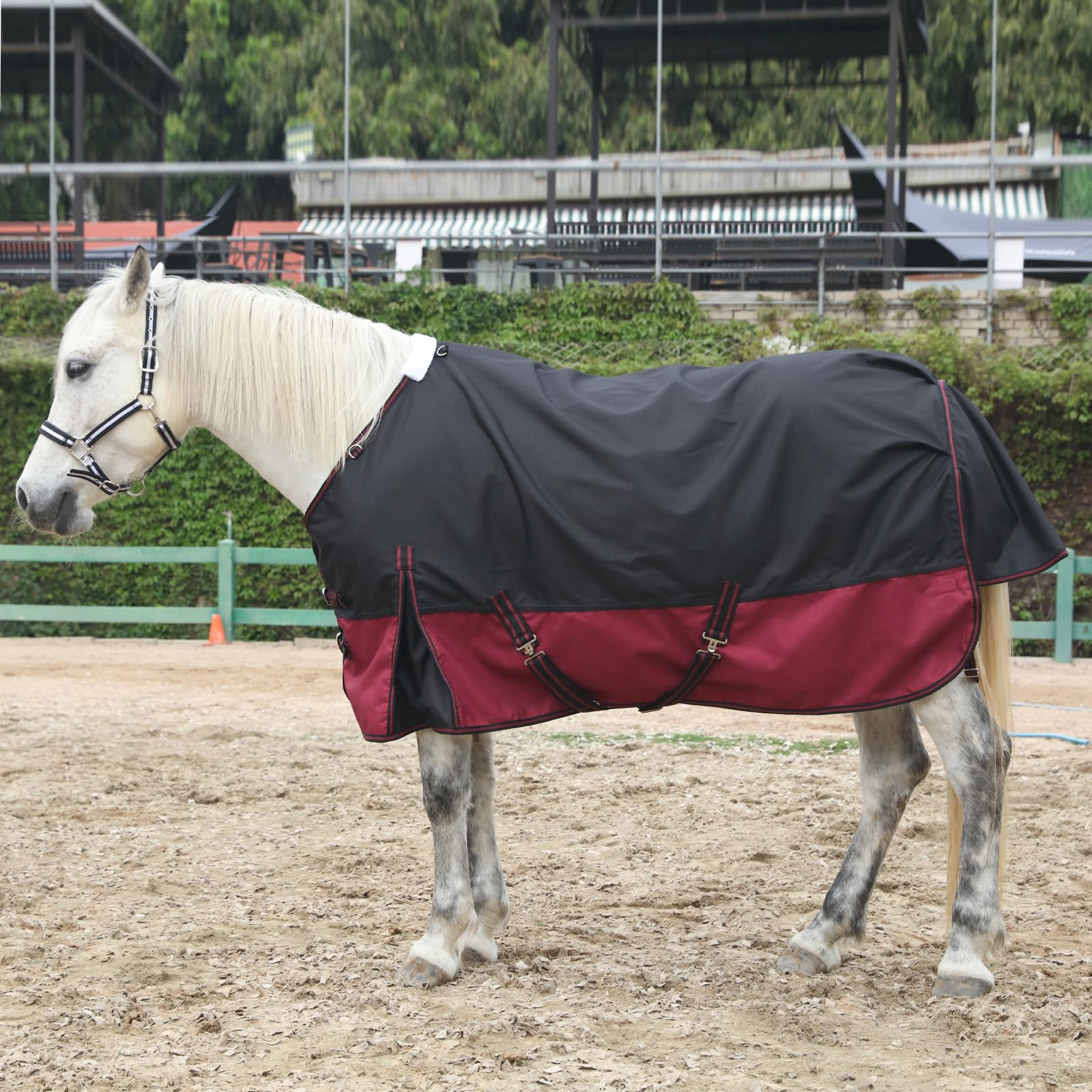 Gallopoff jupe de queue protectrice offrant une couverture arrière