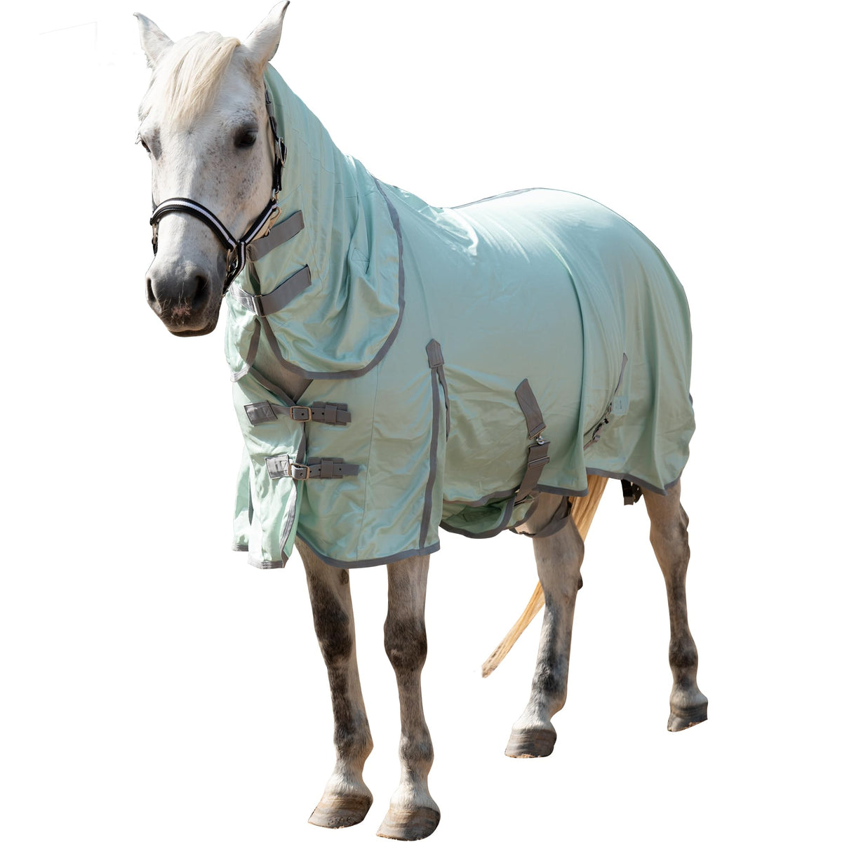 Gallopoff: cou détachable offre confort et protection anti-mouches.