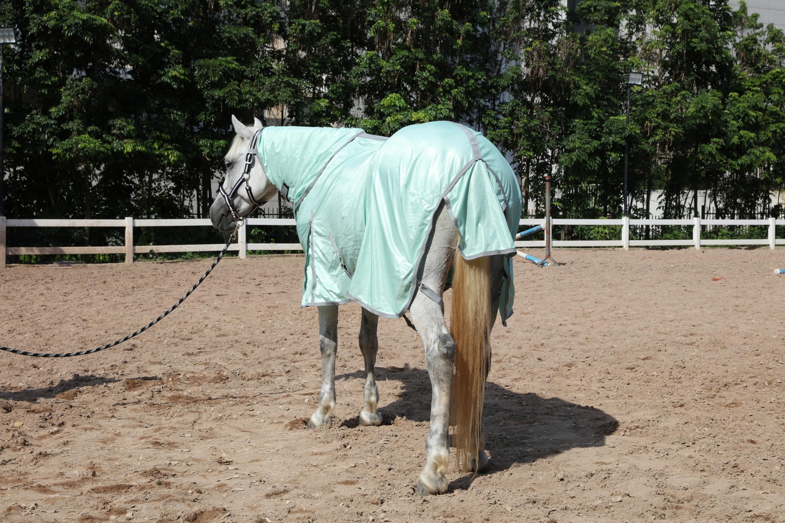 Gallopoff: maillage ventilé assure une bonne circulation d’air.