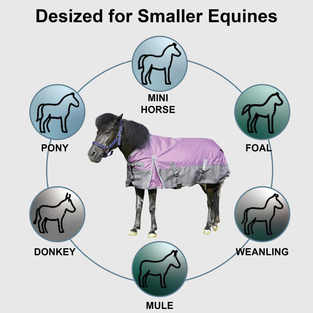 Utilisation hivernale polyvalente : promenade et sortie au pré pour poney Gallopoff.