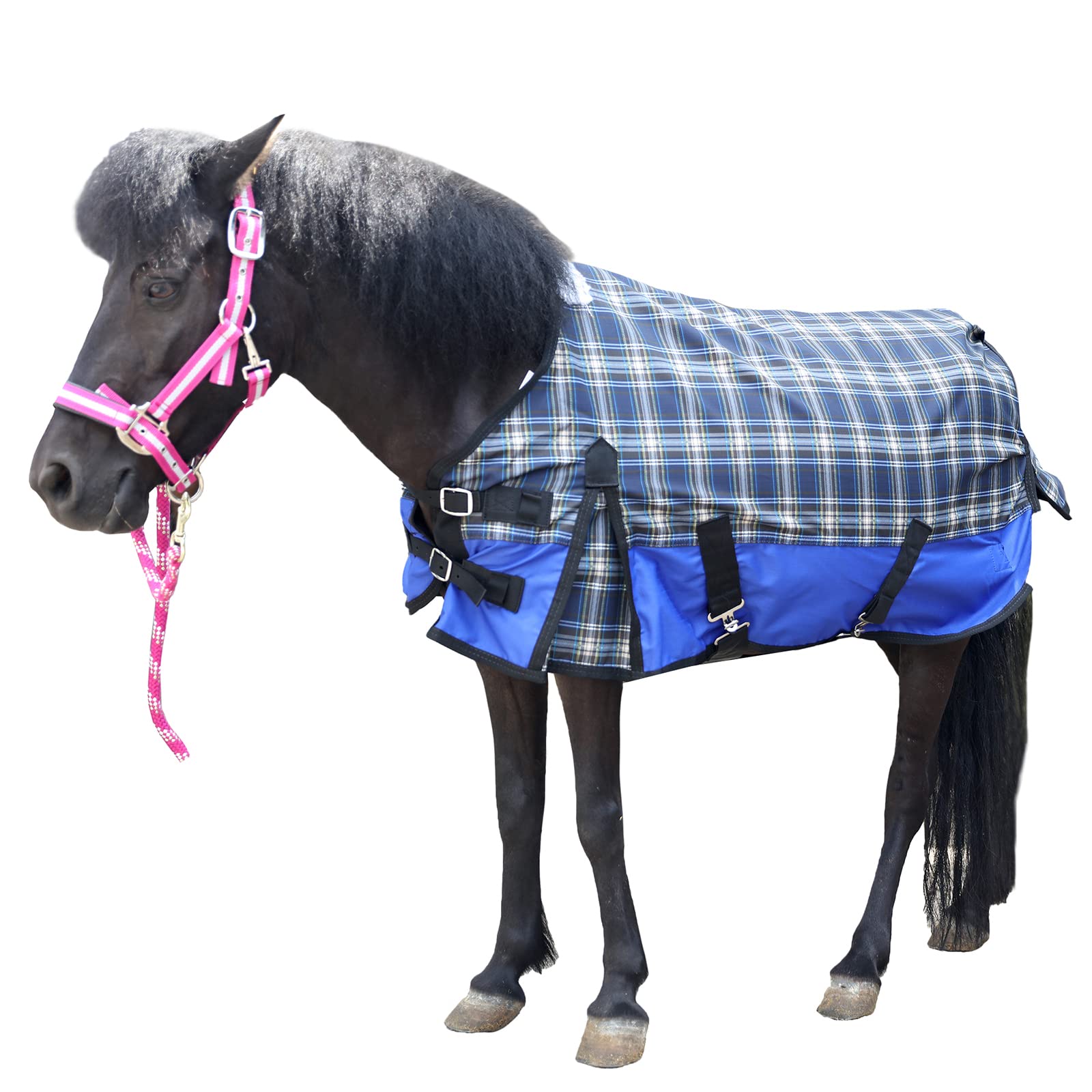 Gallopoff couverture mini cheval imperméable bleu plaid, parfaite pour les sorties pluvieuses.