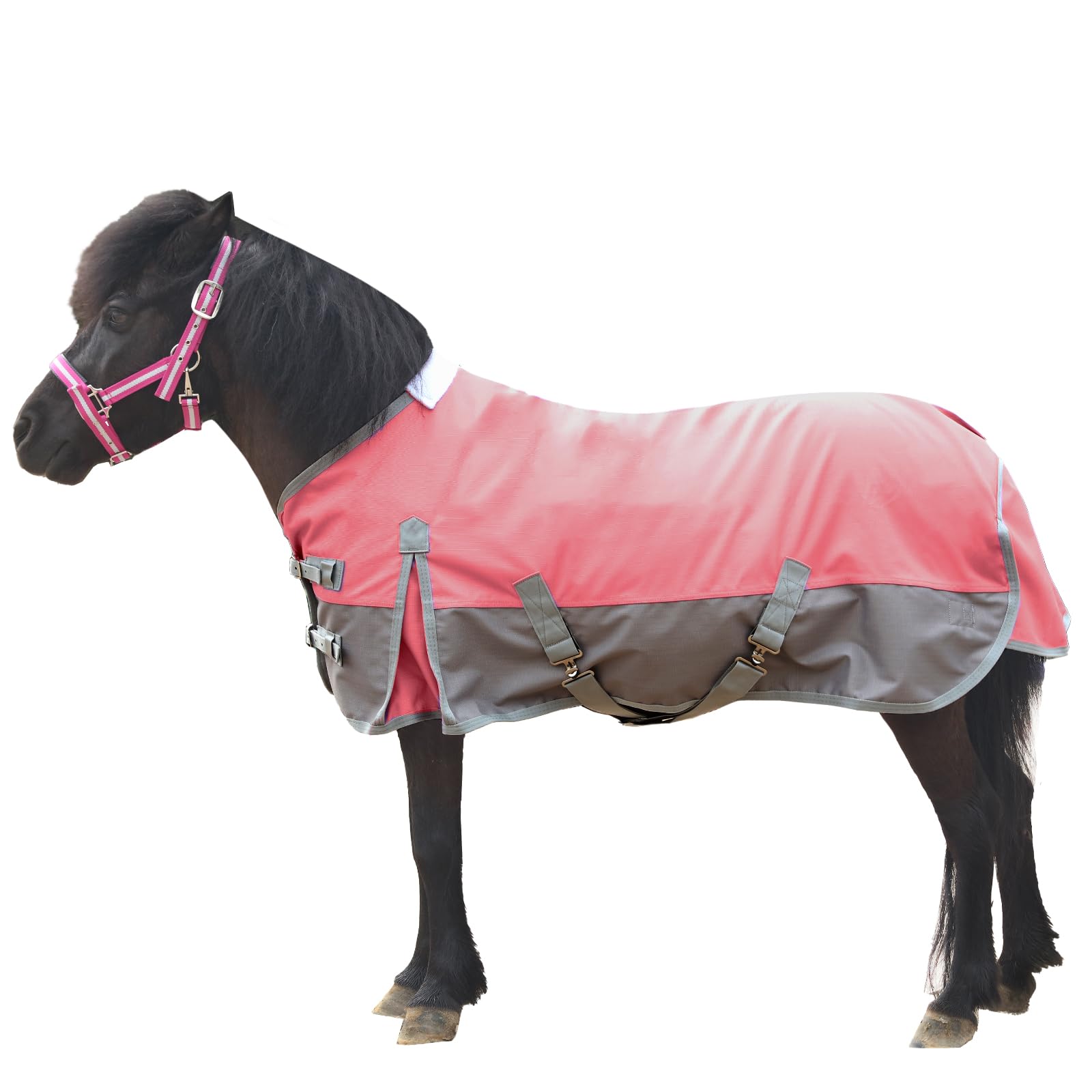 Gallopoff mini-cheval rose, face: maintien au sec grâce à une protection légère.