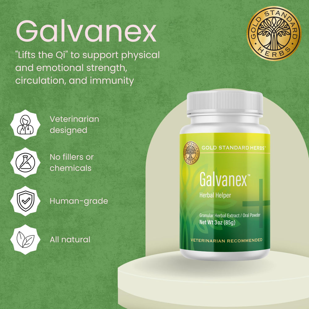 Galvanex: poudre-herbes-circulation-peripherique amélioration potentielle