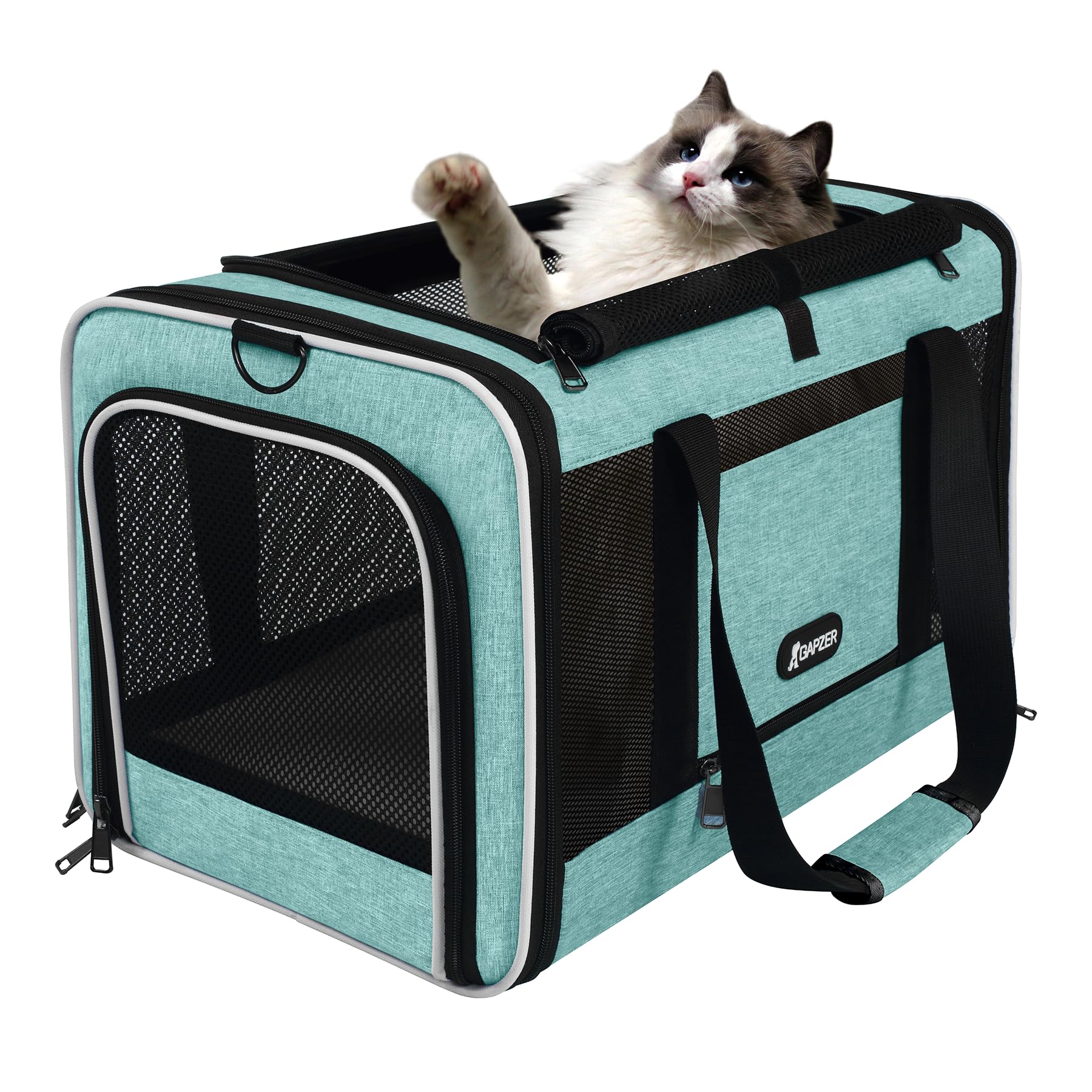 Capacité jusqu'à 20 lb GAPZER adapté chats et petits chiens.