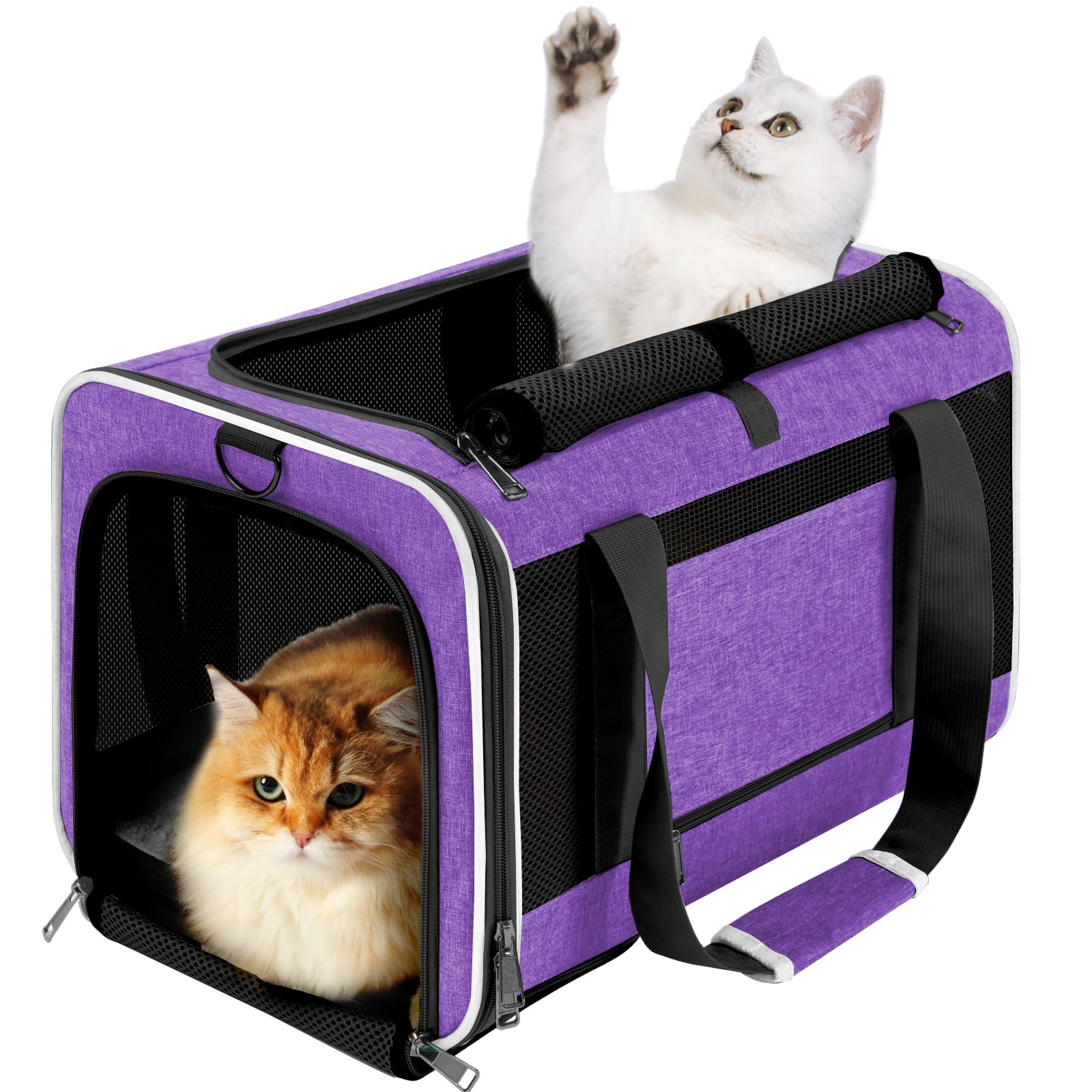 Porte-animaux GAPZER grand chat, chargement par le dessus pratique