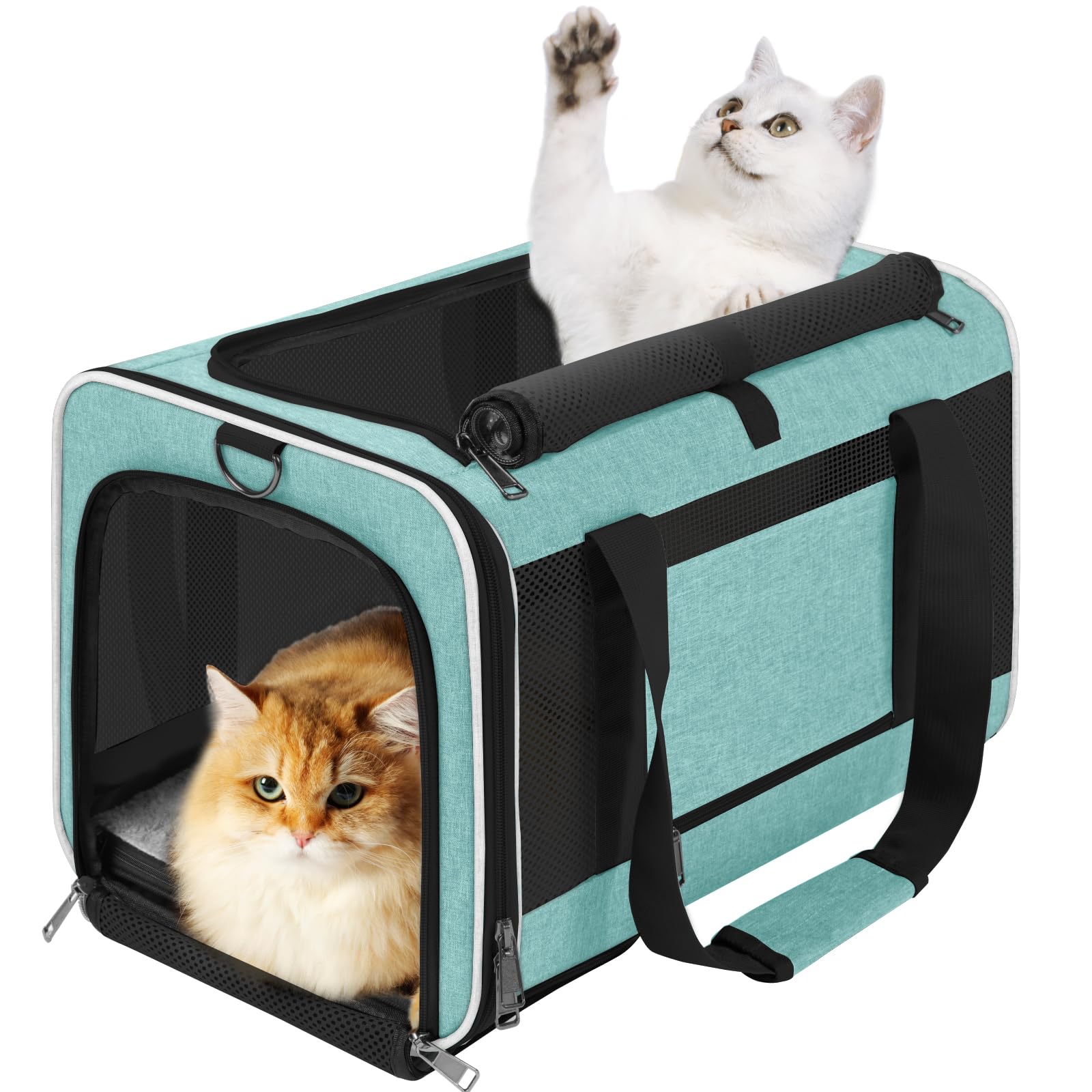 GAPZER Porte-chat Soft Teal avant, accès facile et confort pour votre chat.