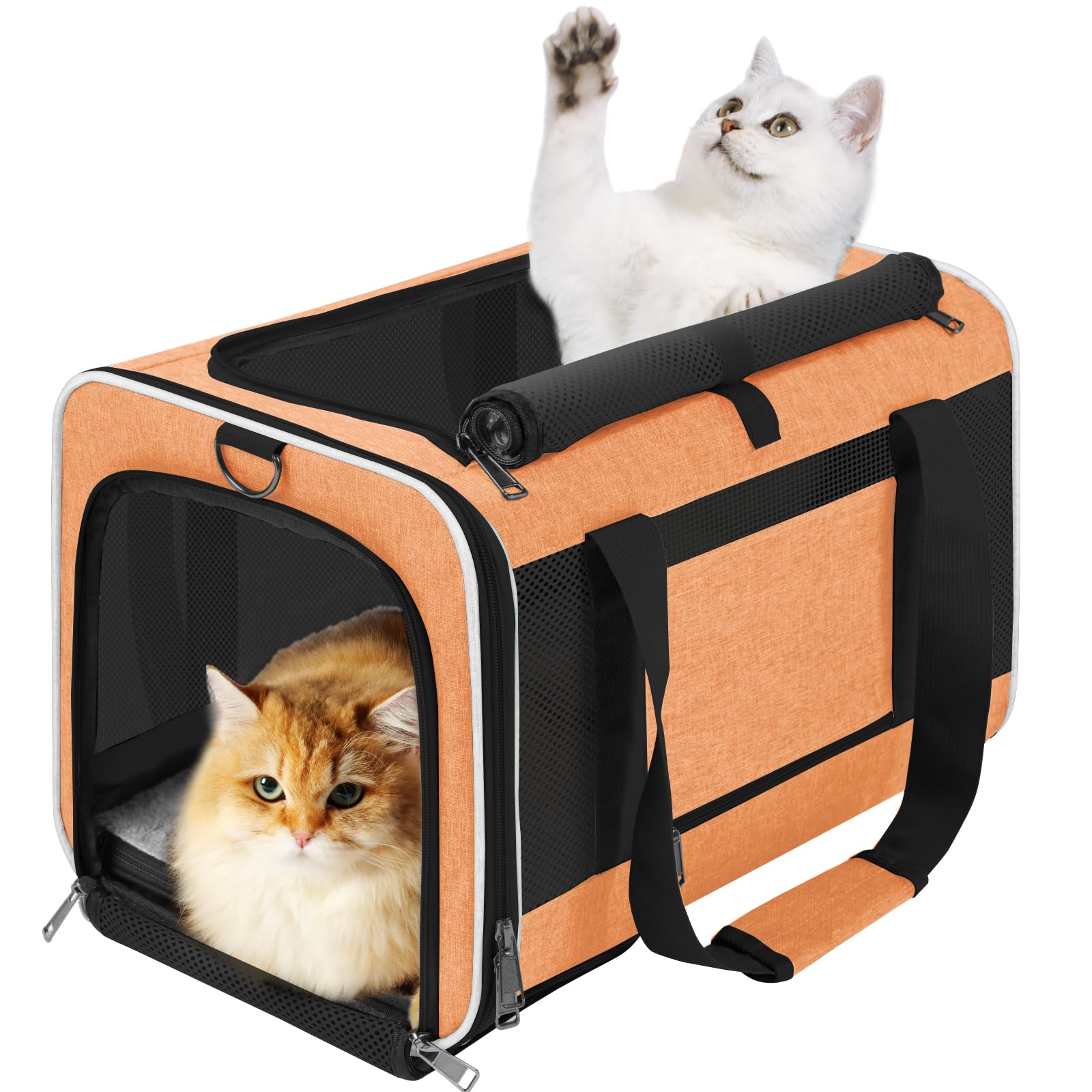 GAPZER sac de transport chat grand extérieur, pratique et sûr pour les trajets longs.