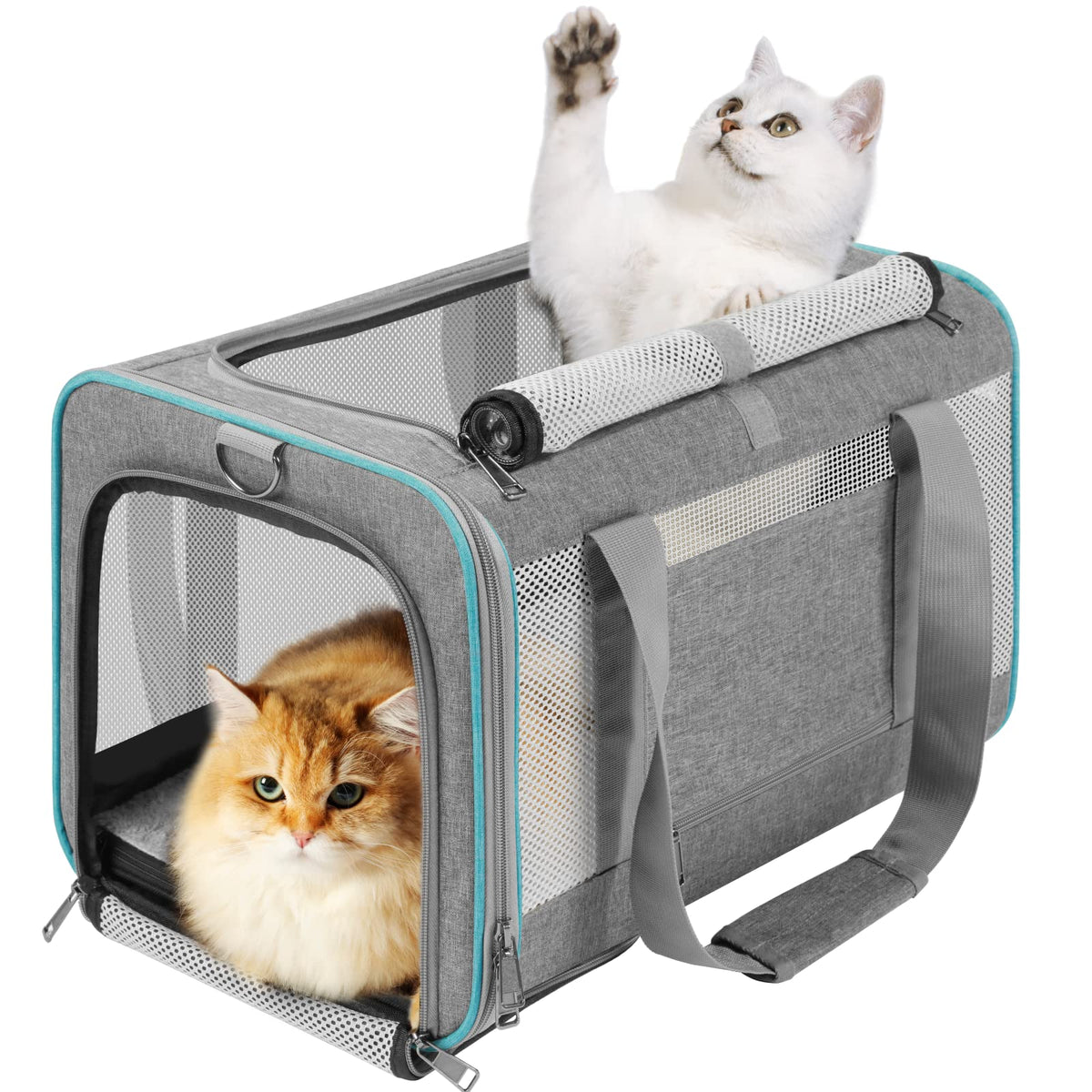 GAPZER sac transport chat grande - vue exterieure securisee pour trajets