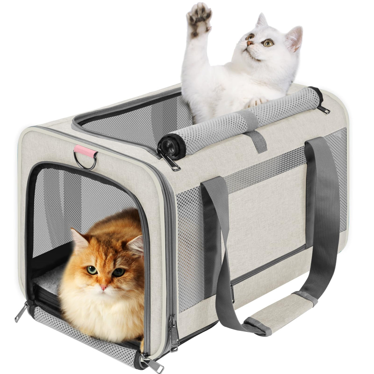 GAPZER transporteur pour chat grand format, beige, parfait pour trajets quotidiens.