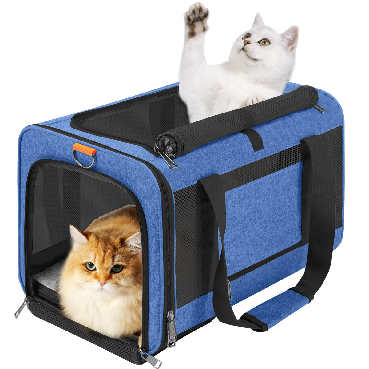 GAPZER transporteur animaux bleu, vue d’ensemble, idéal pour voyager avec chat.