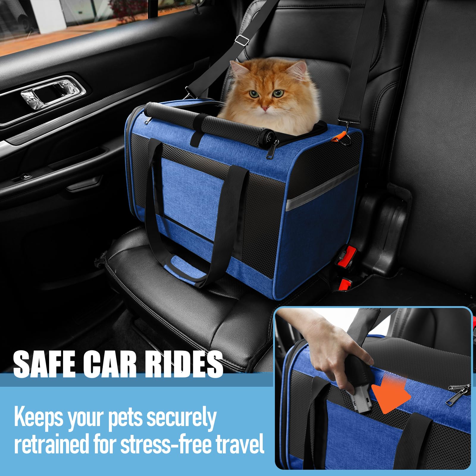 Ouverture supérieure pratique, chargement sans stress pour votre animal.