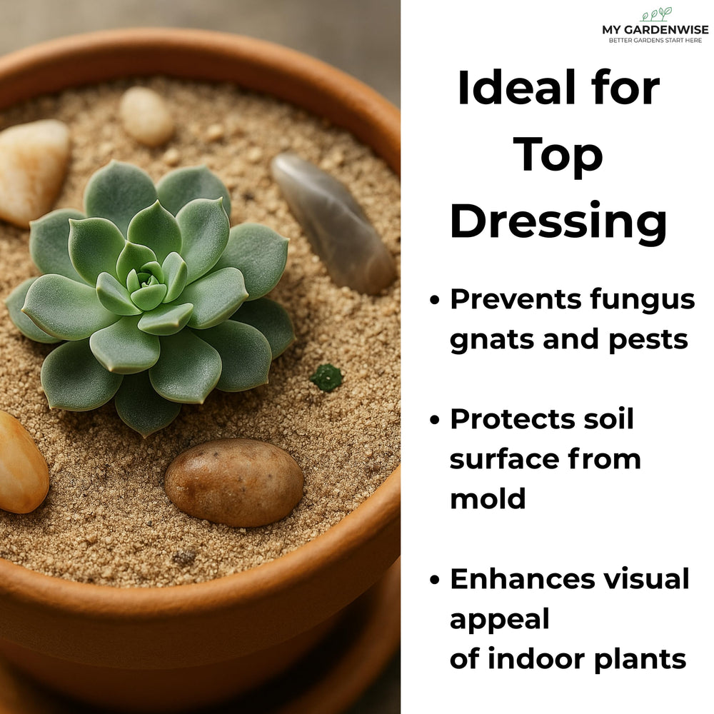 GARDENWISE sable décoratif pour terrariums – finition naturelle et élégante.