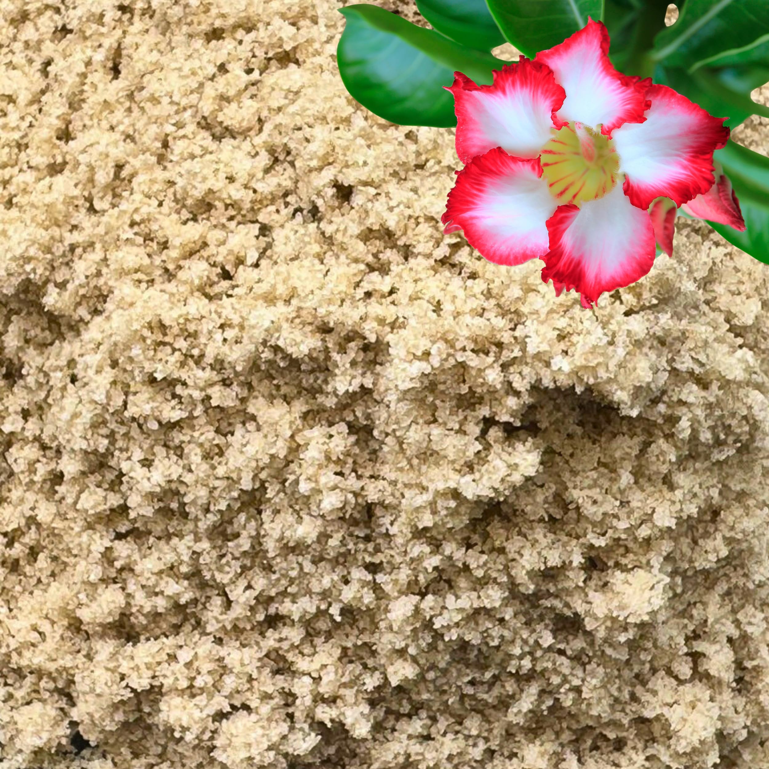 GARDENWISE sable pour plantes, grains fins, améliore l'aération des mélanges.