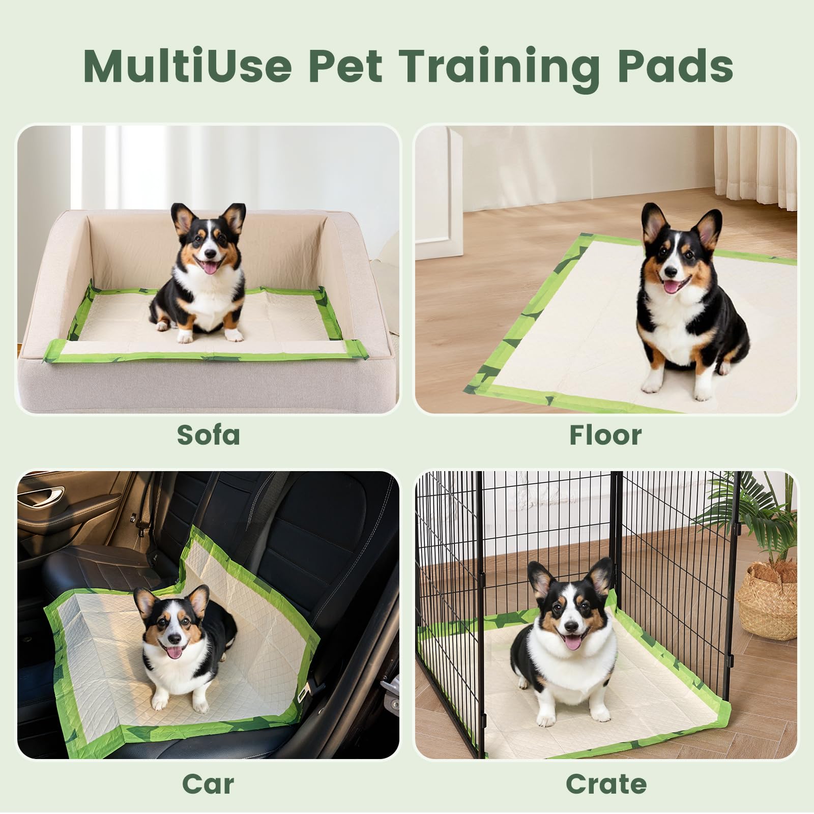 Gardner Pet aleses XL, utilisation polyvalente pour chiens, chats et voyages.
